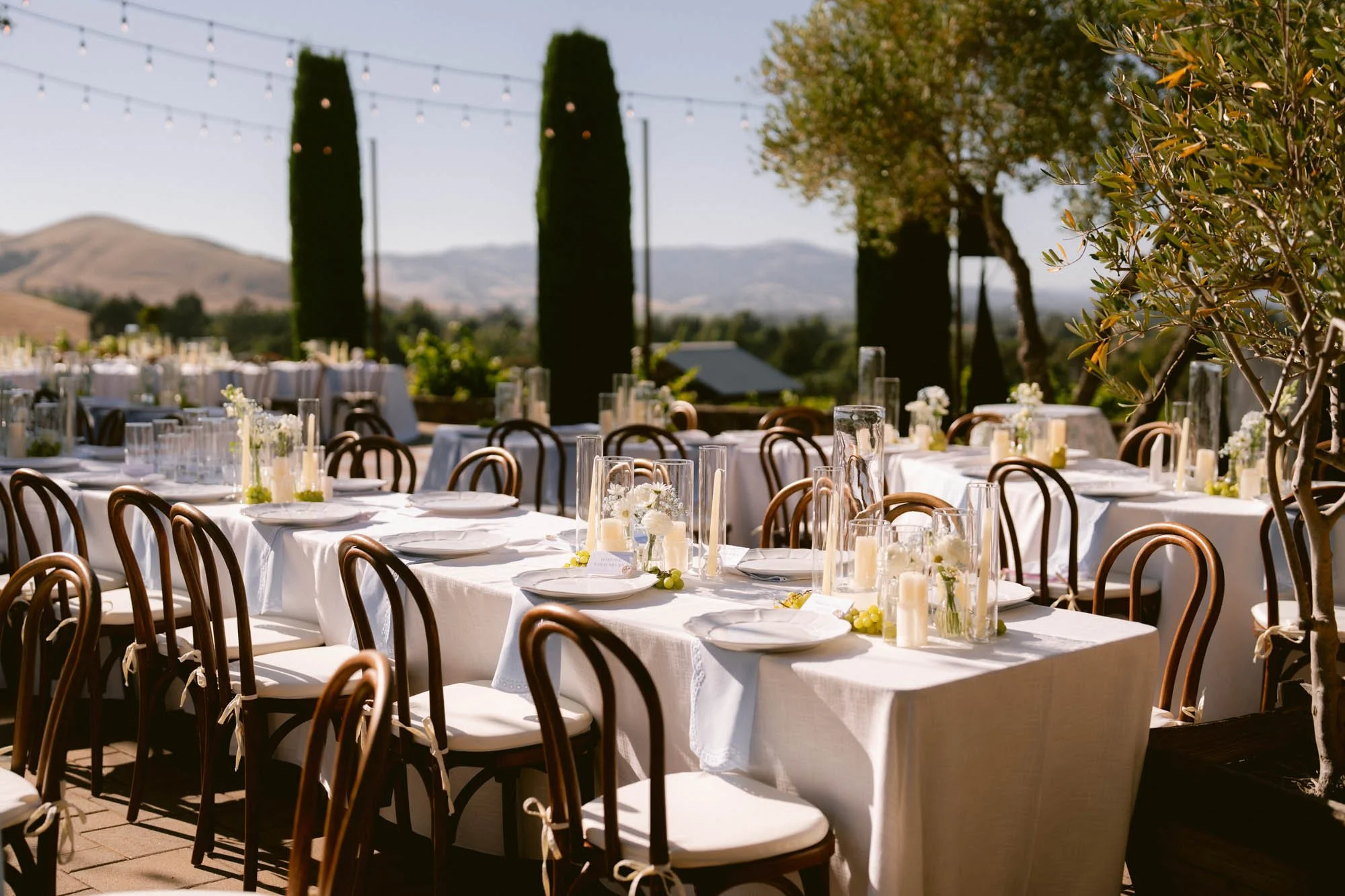 Viansa_Winery_Reception_Photos-39.jpg