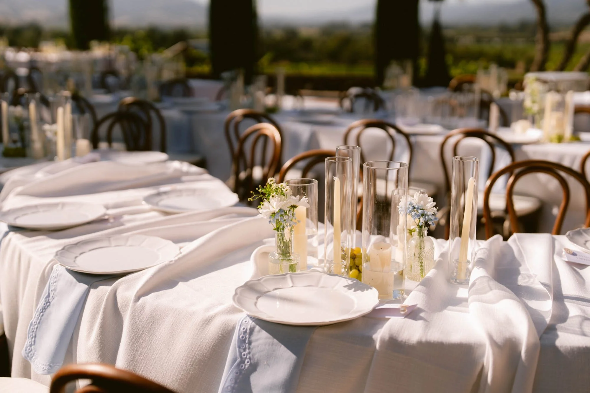 Viansa_Winery_Reception_Photos-41.jpg