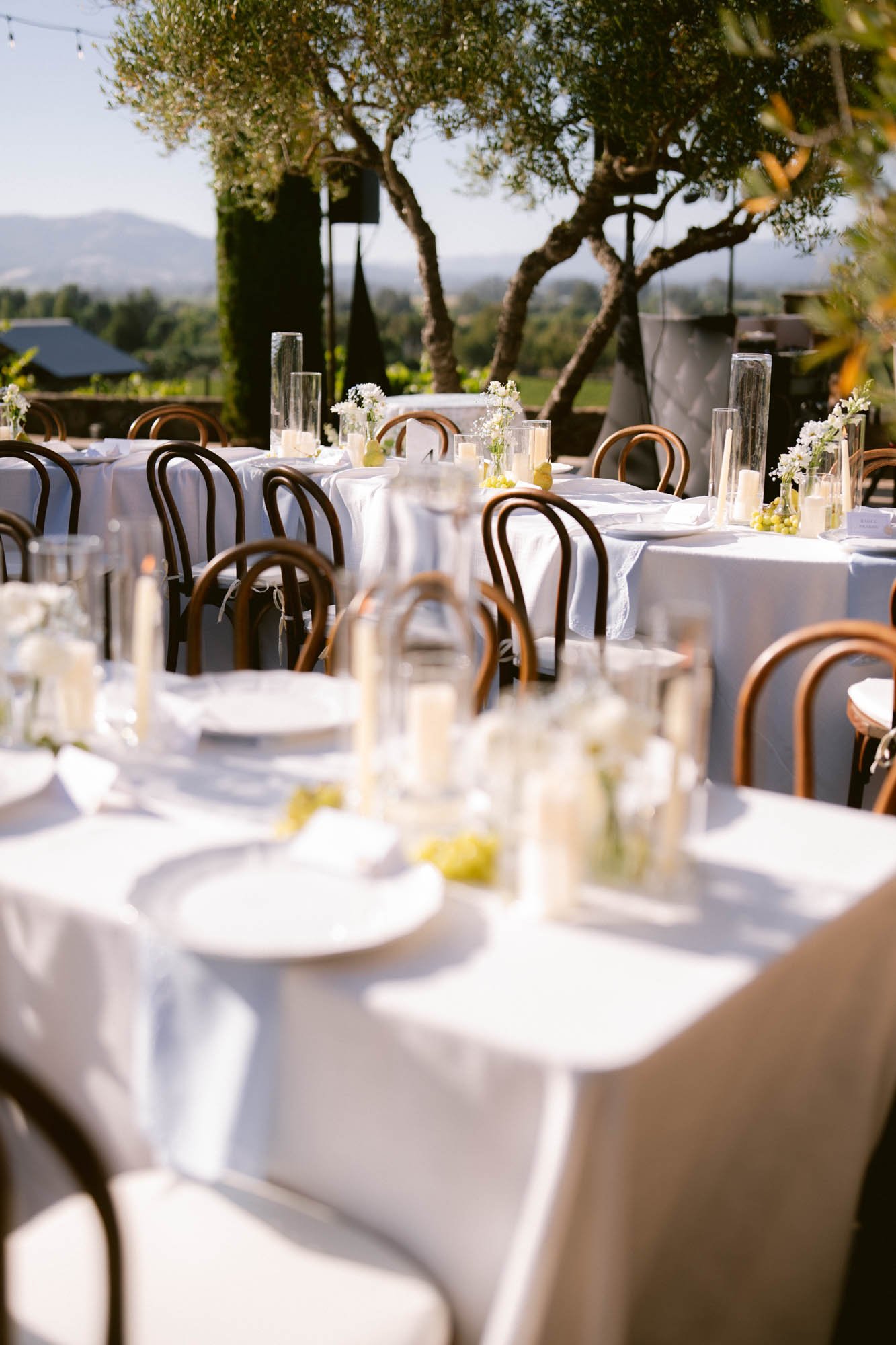 Viansa_Winery_Reception_Photos-64.jpg