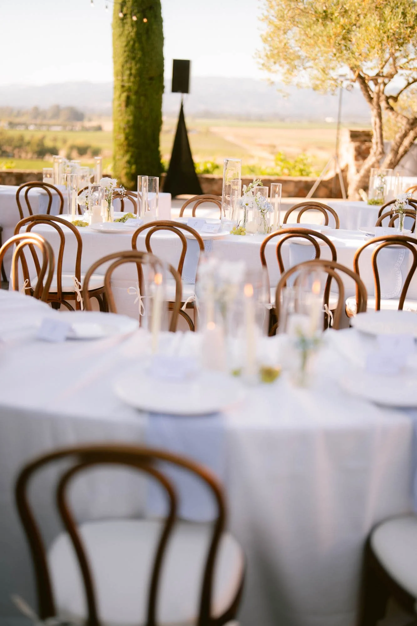 Viansa_Winery_Reception_Photos-71.jpg