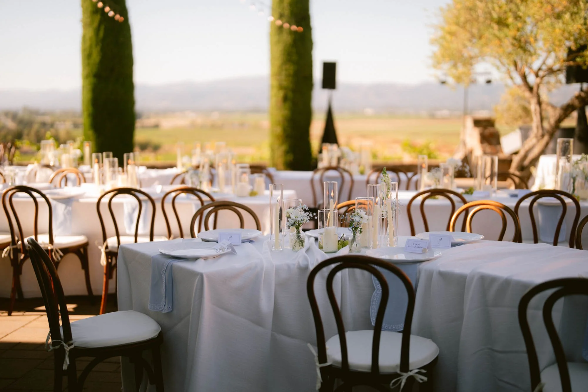 Viansa_Winery_Reception_Photos-72.jpg