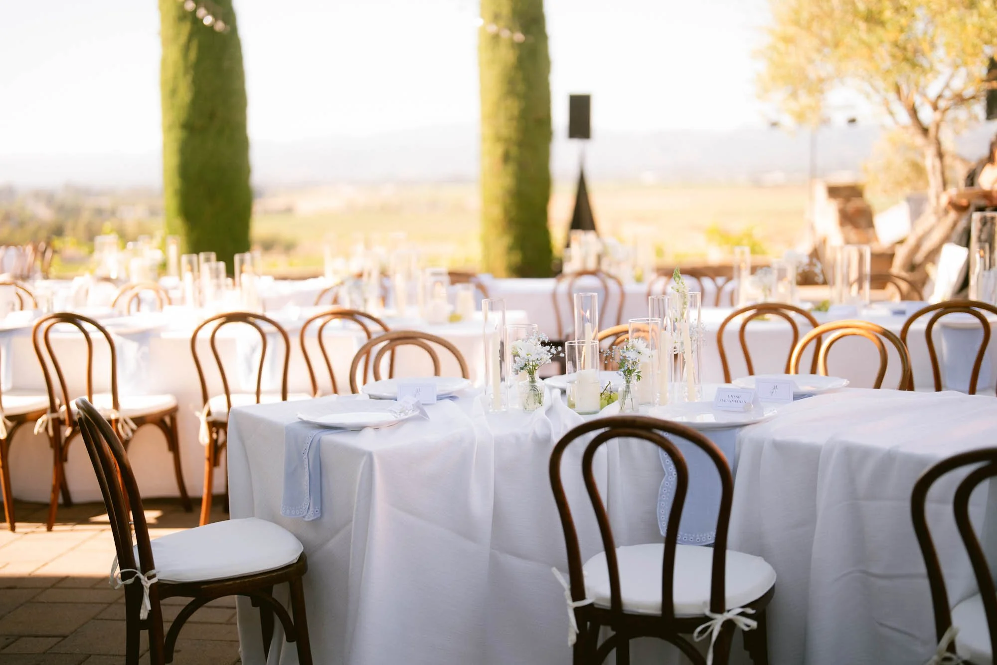 Viansa_Winery_Reception_Photos-73.jpg
