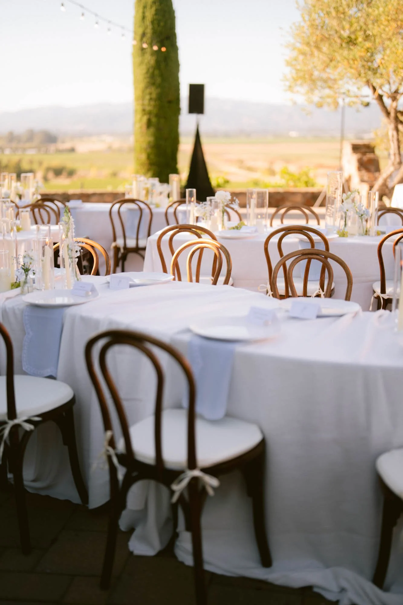 Viansa_Winery_Reception_Photos-74.jpg