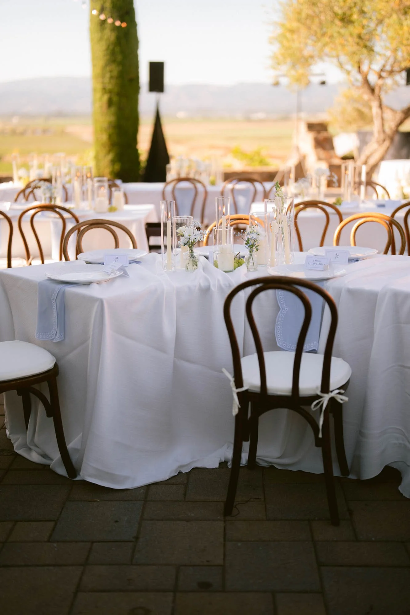 Viansa_Winery_Reception_Photos-75.jpg