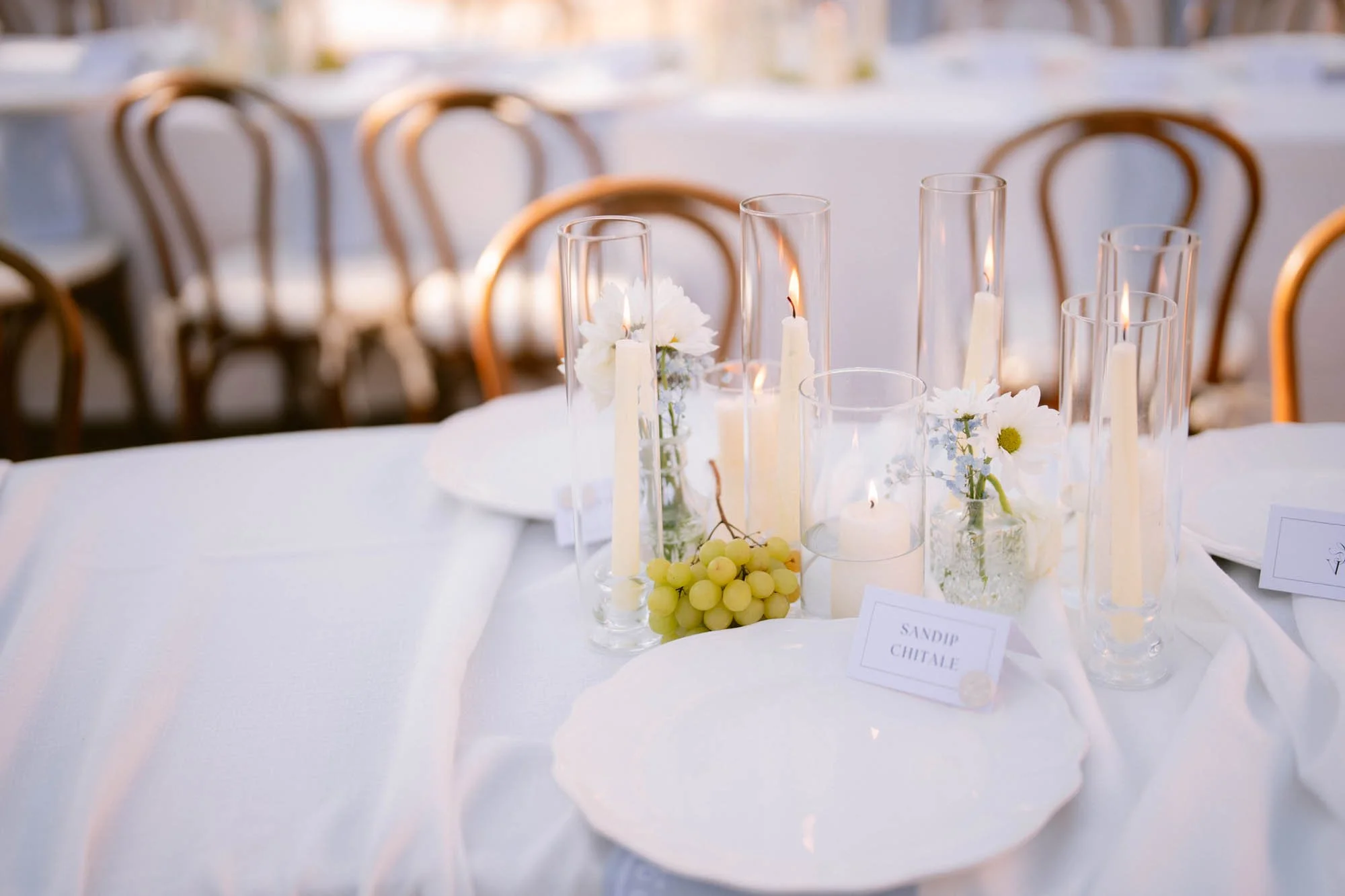 Viansa_Winery_Reception_Photos-77.jpg