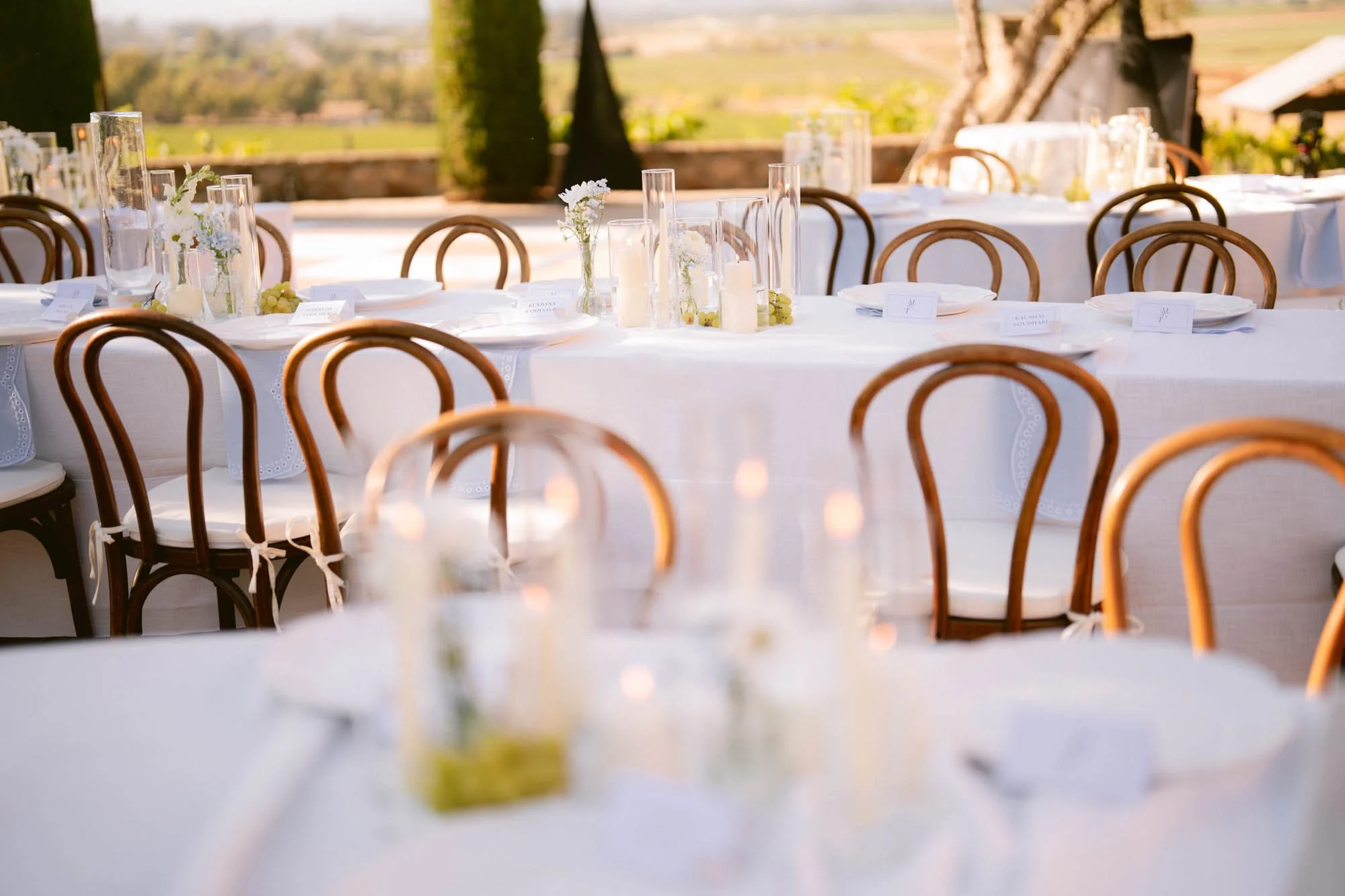Viansa_Winery_Reception_Photos-78.jpg