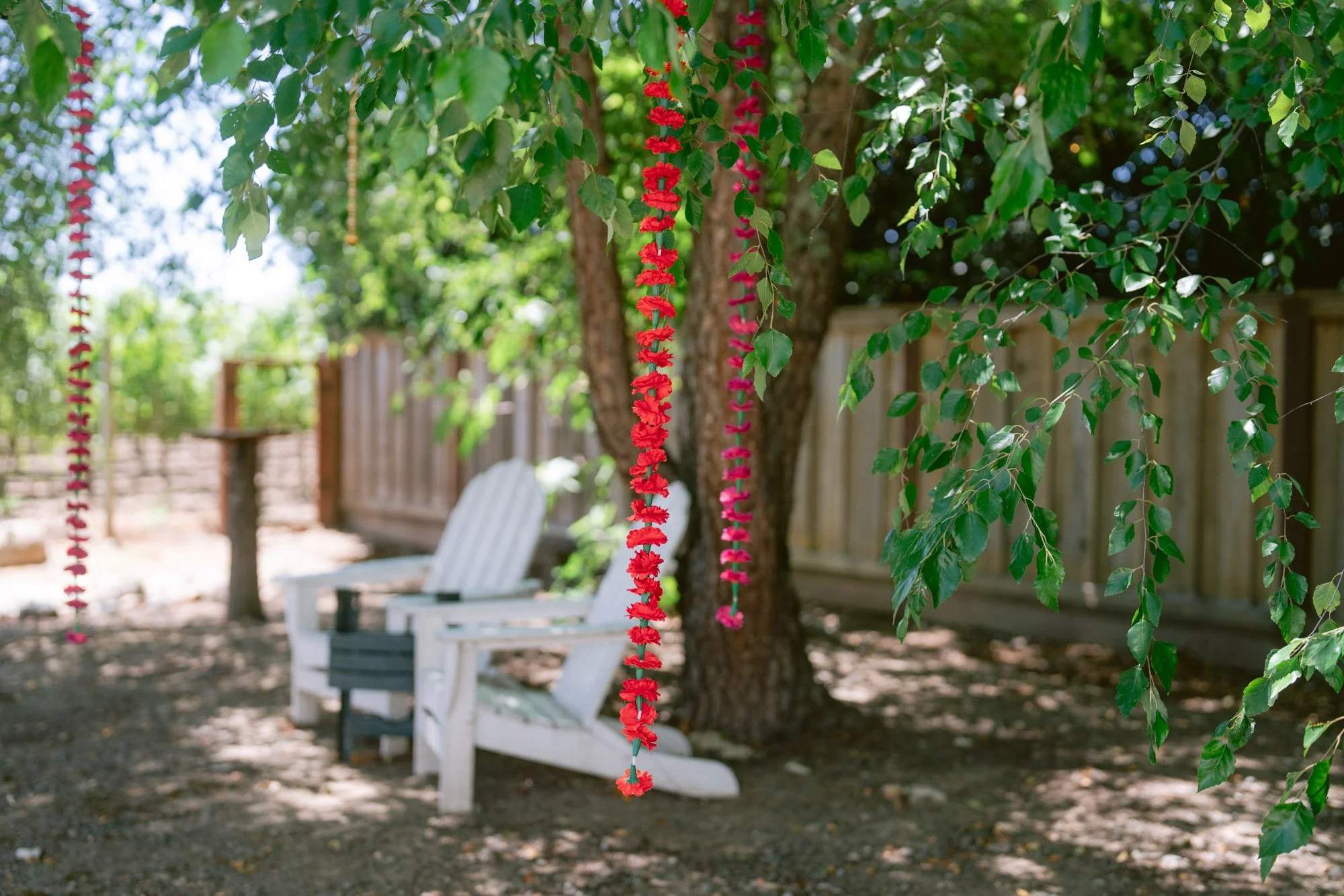 Napa_Fusion_Indian_Wedding_gettingready-7.jpg