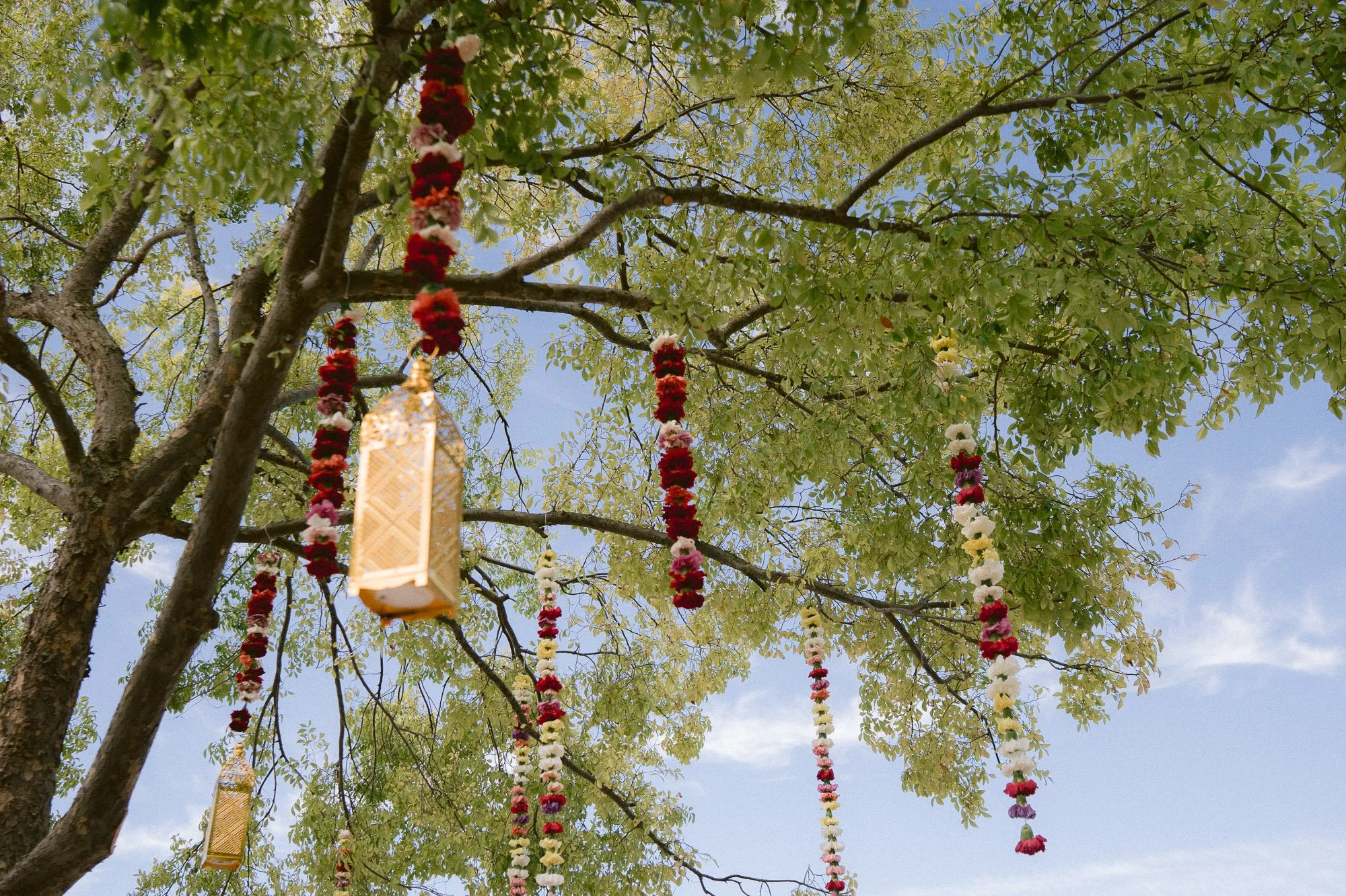 Srilankan_American_Fusion_wedding-334.jpg