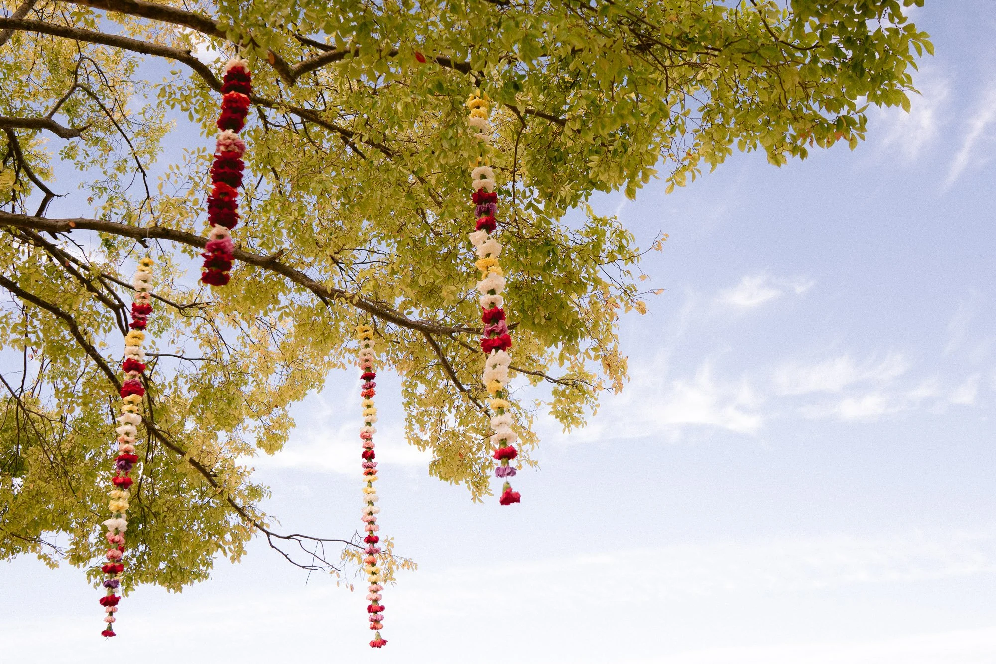 Srilankan_American_Fusion_wedding-335.jpg
