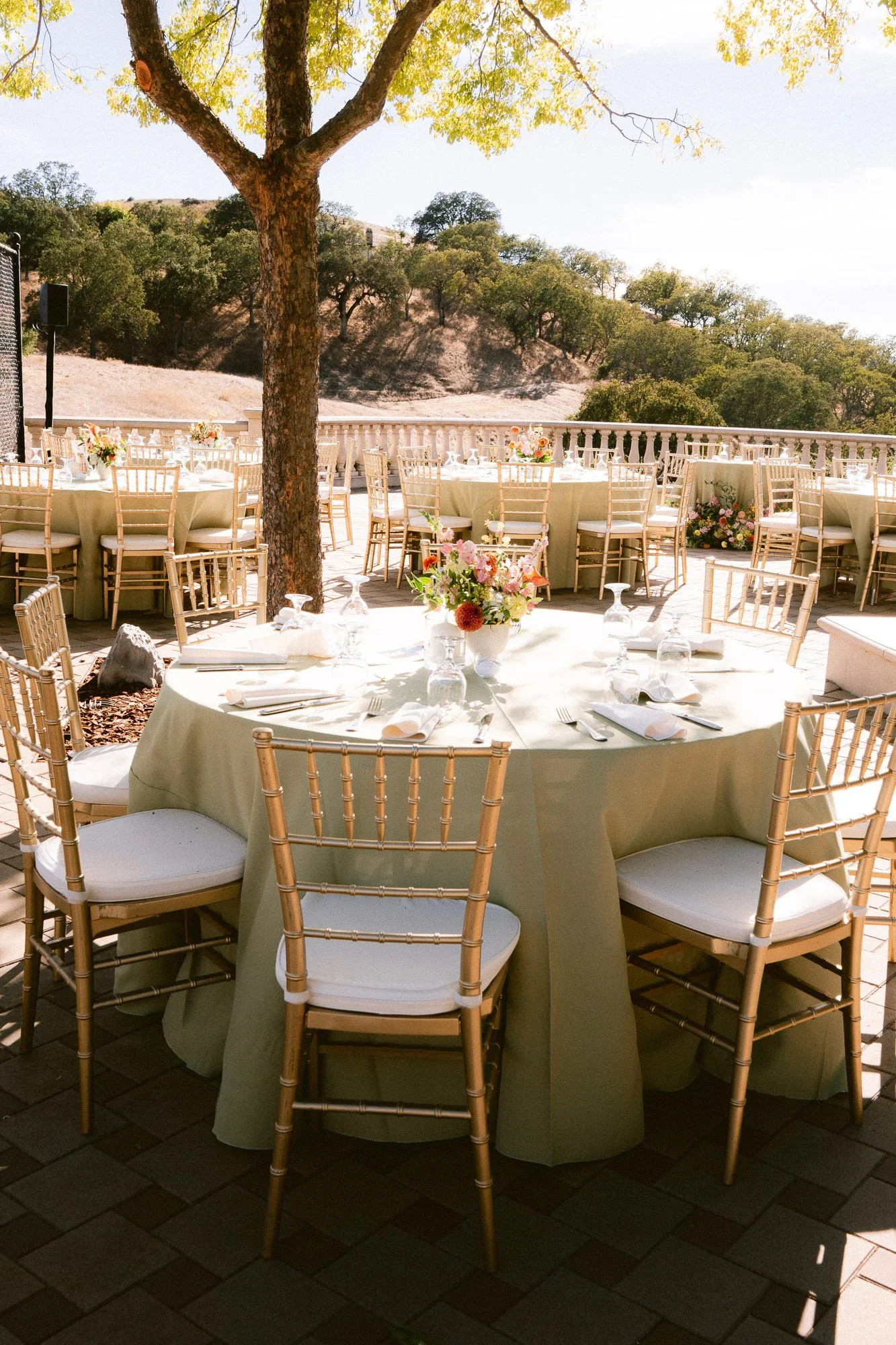 Jewish_srilankan_wedding_diablo-224.jpg