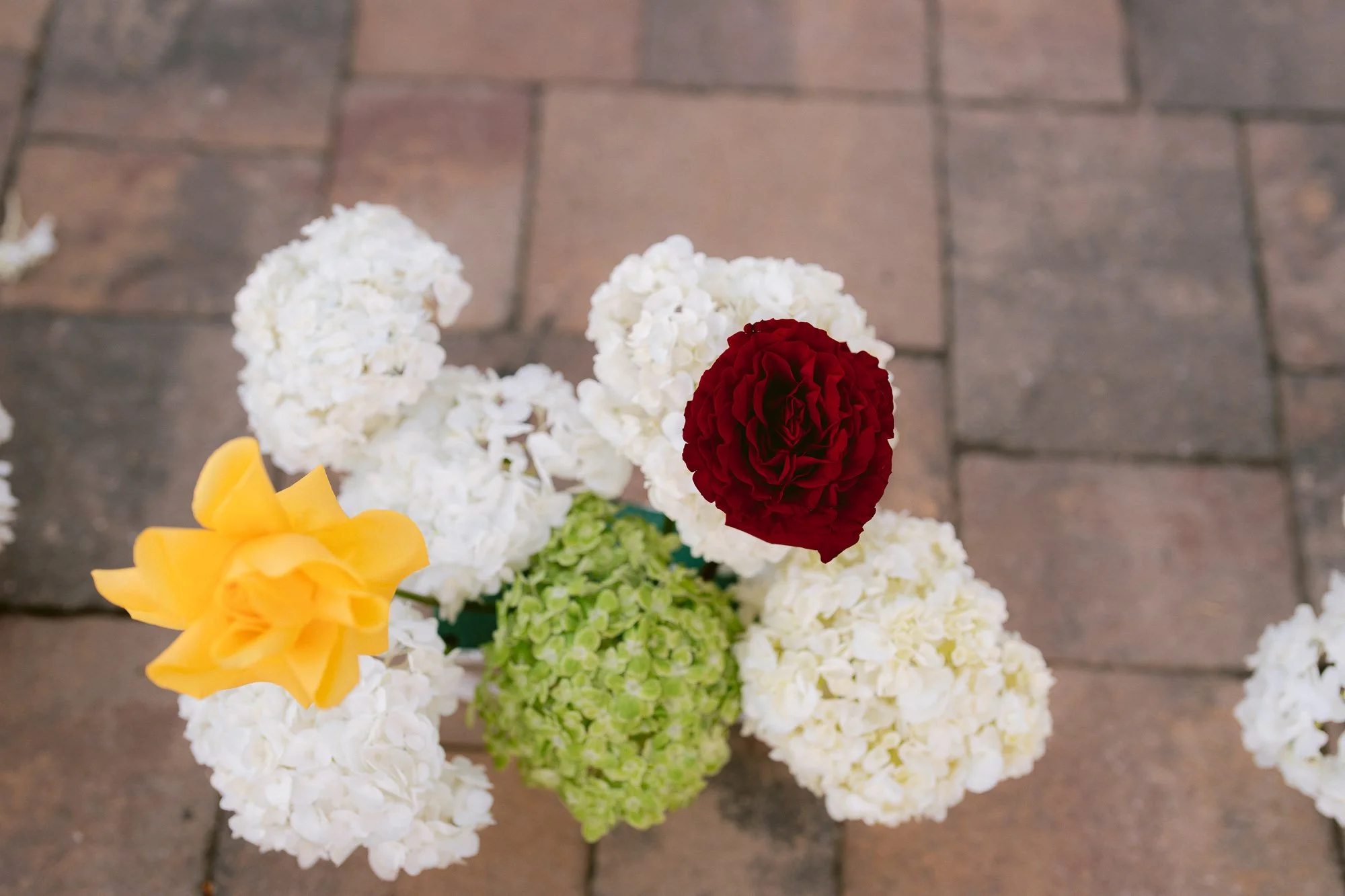 mt.eden_saratoga_hills_telugu_marathi_indian_wedding-3.jpg