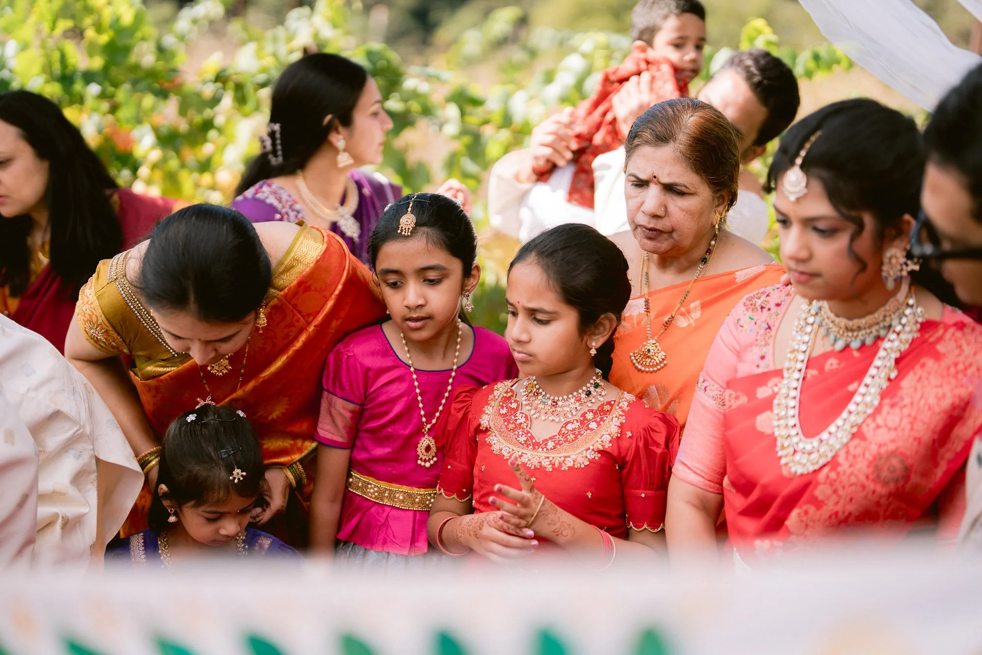 mt.eden_saratoga_hills_telugu_marathi_indian_wedding-229.jpg