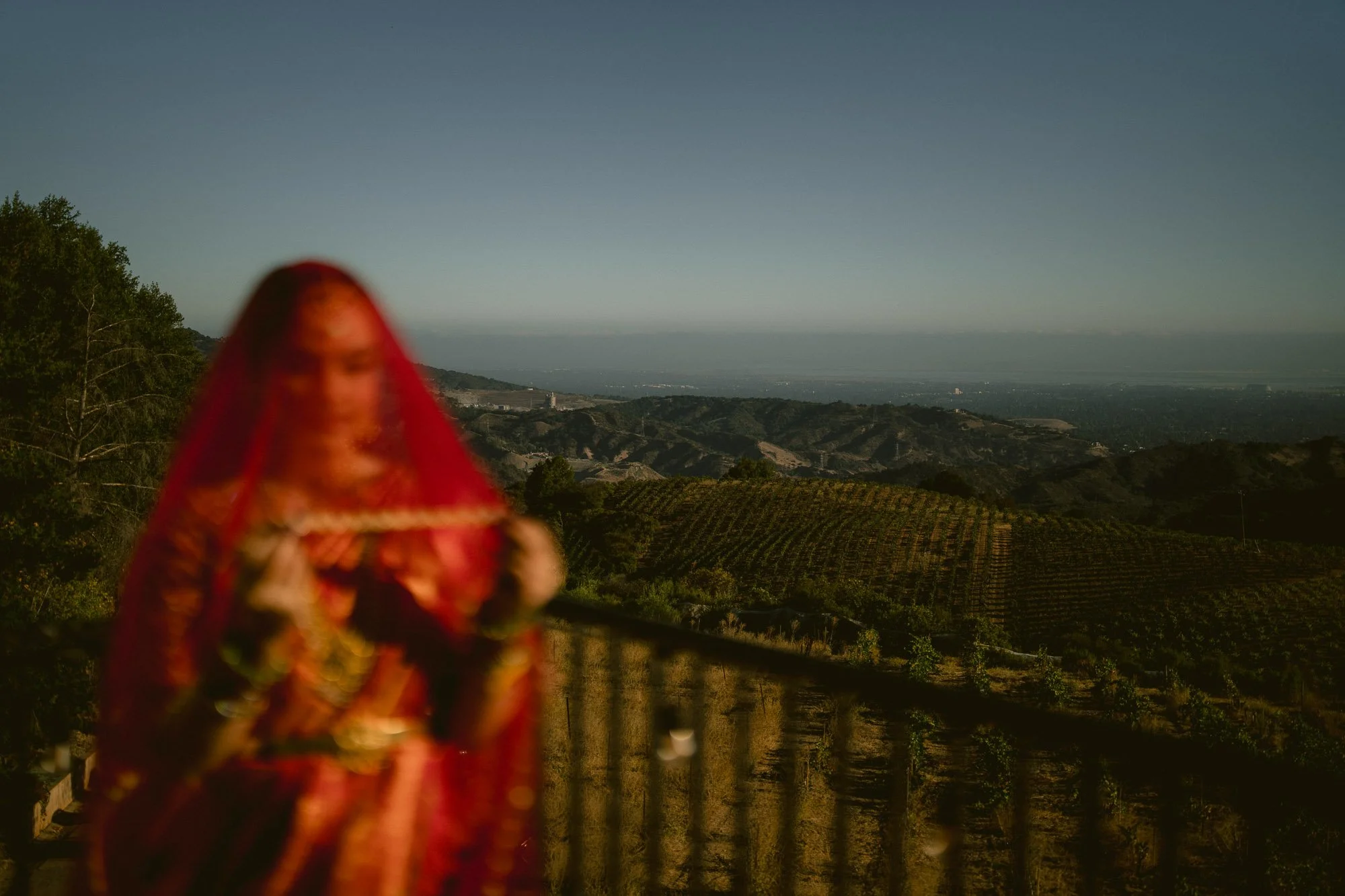 Telugu + Marathi Indian Wedding| Chateau Mt. Eden Saratoga Hills, Saratoga, CA