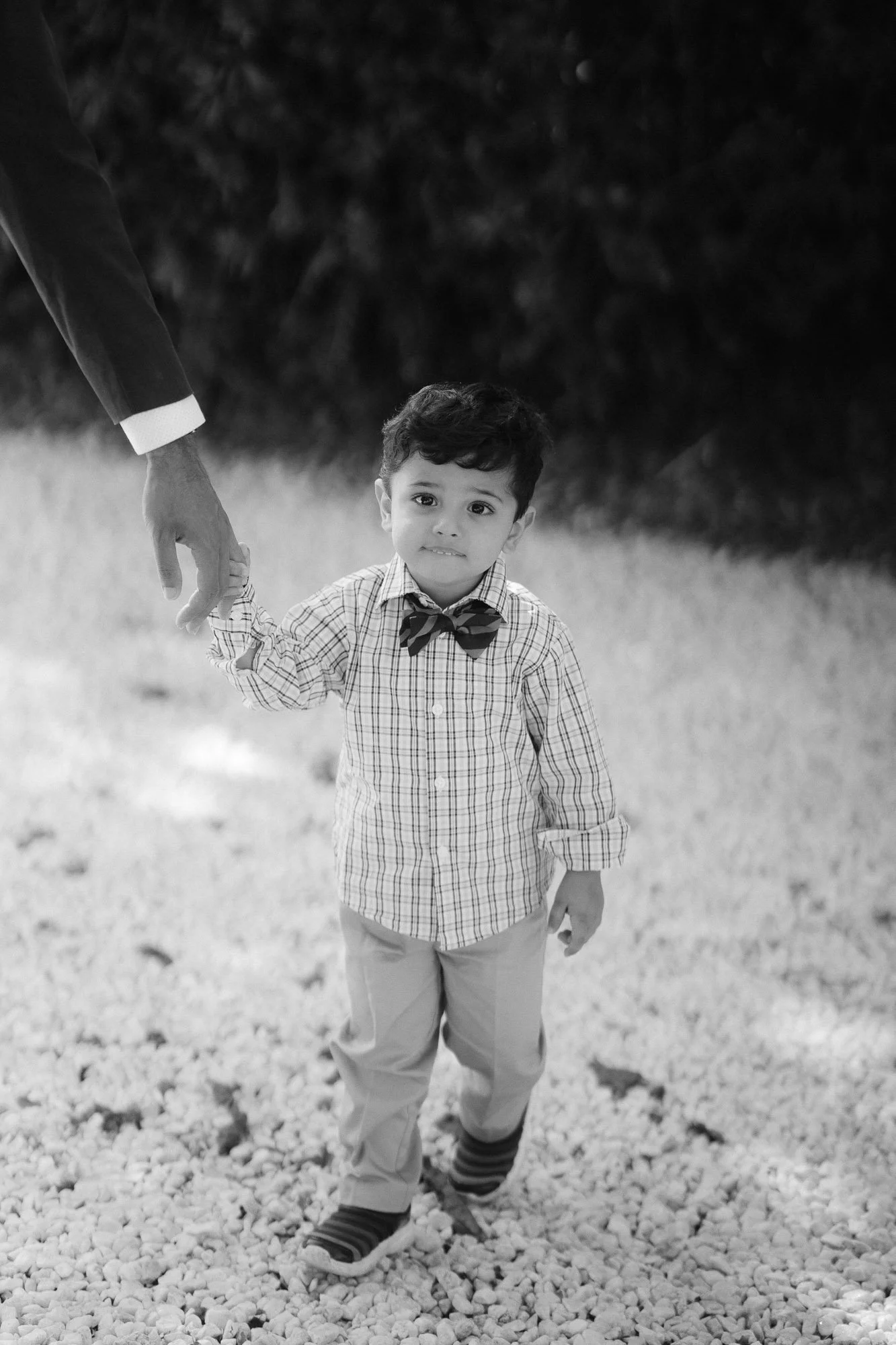 hayward_hills_baby_2nd_bday_photos-48.jpg