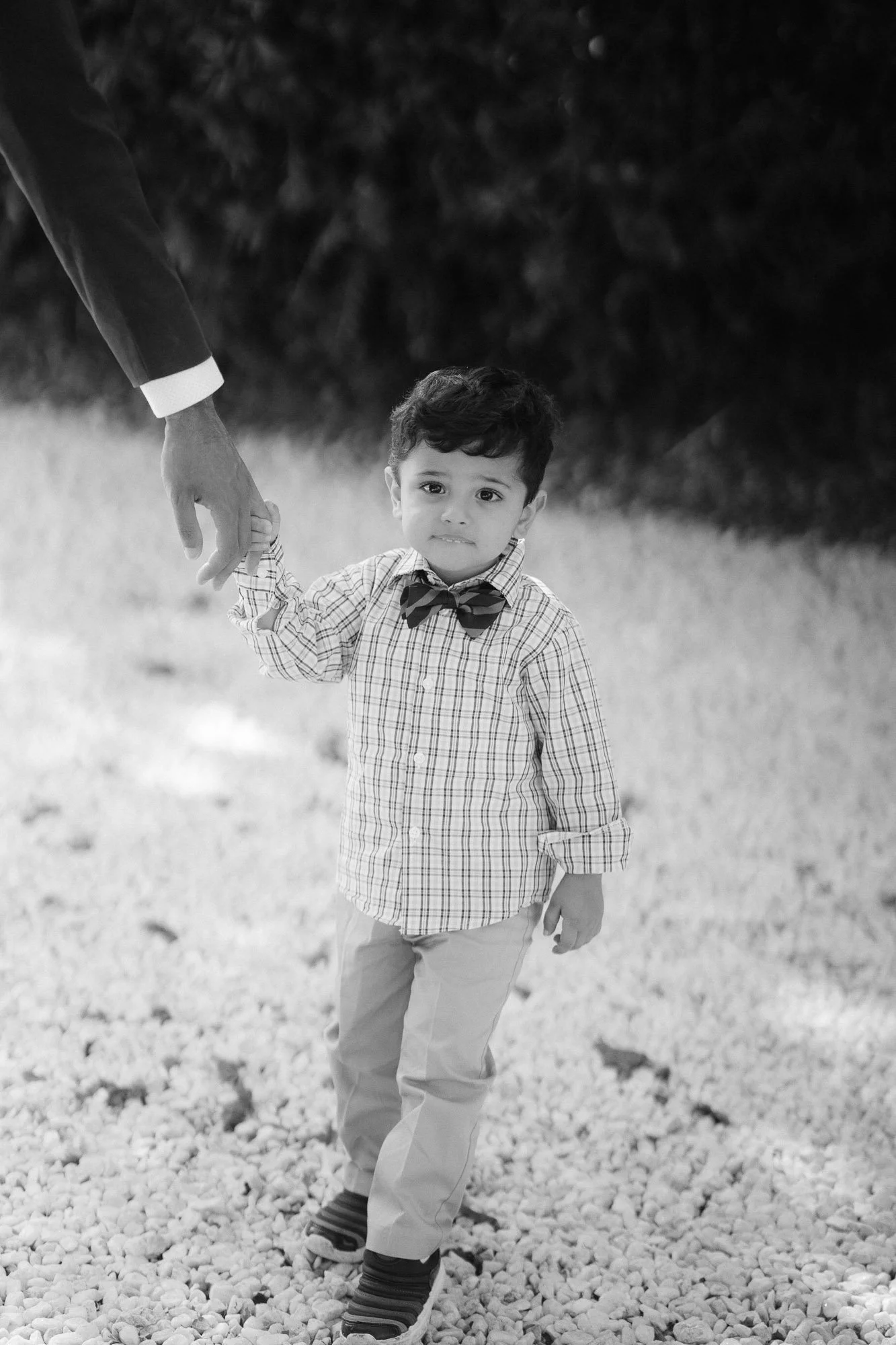 hayward_hills_baby_2nd_bday_photos-49.jpg