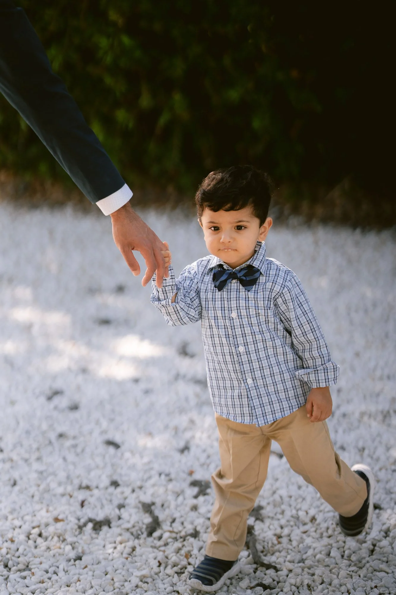 hayward_hills_baby_2nd_bday_photos-50.jpg