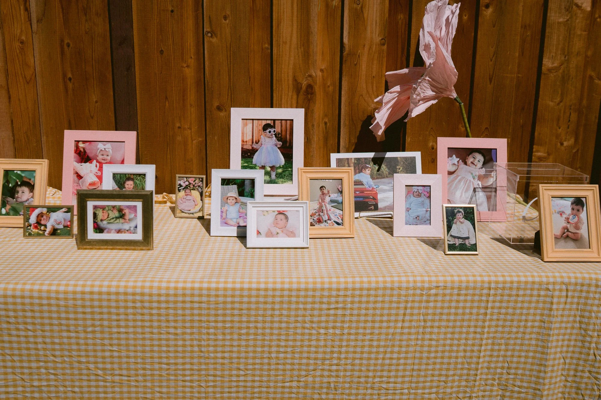 baby_first_bday_morganhill-2.jpg