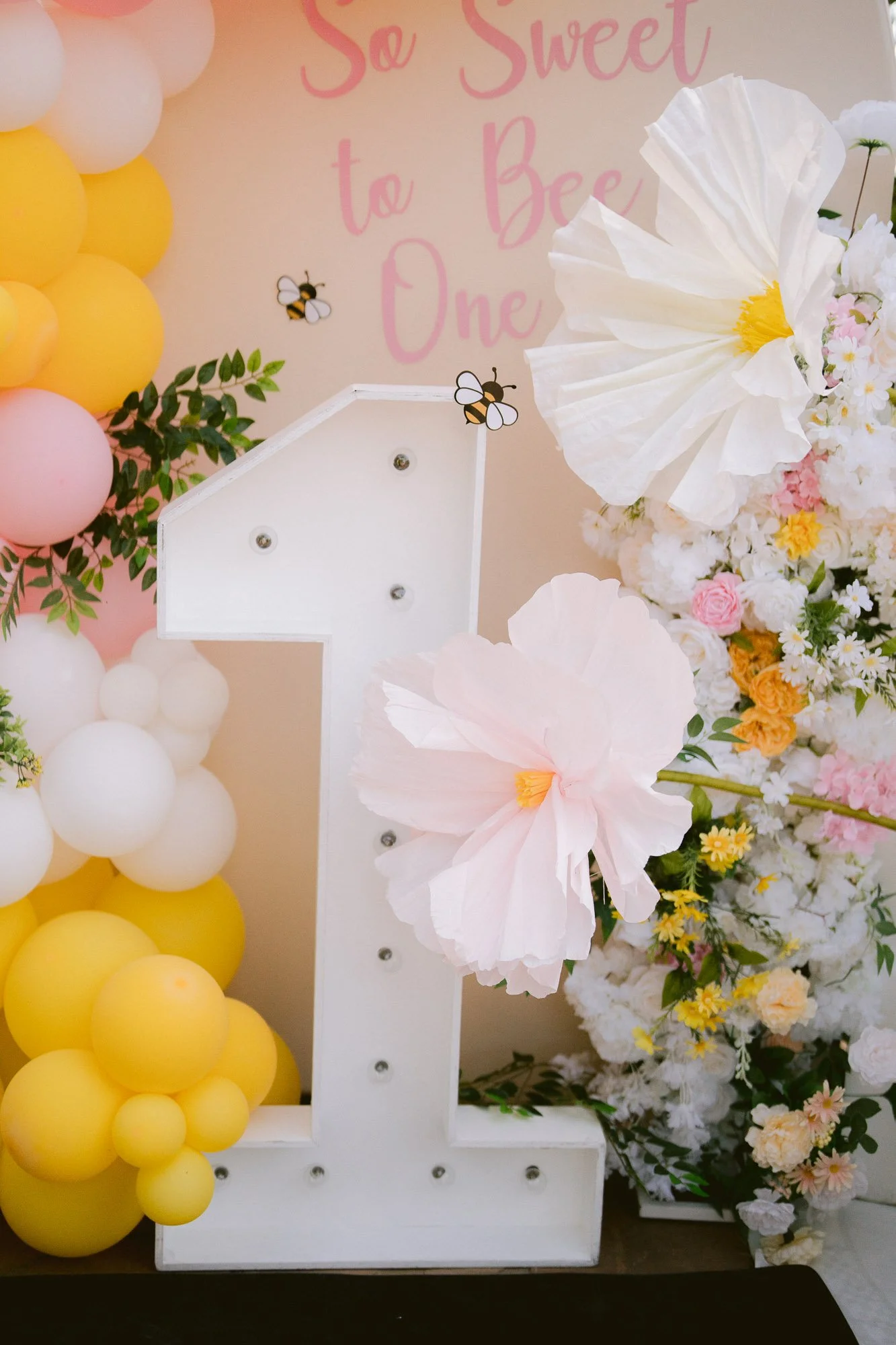 baby_first_bday_morganhill-20.jpg