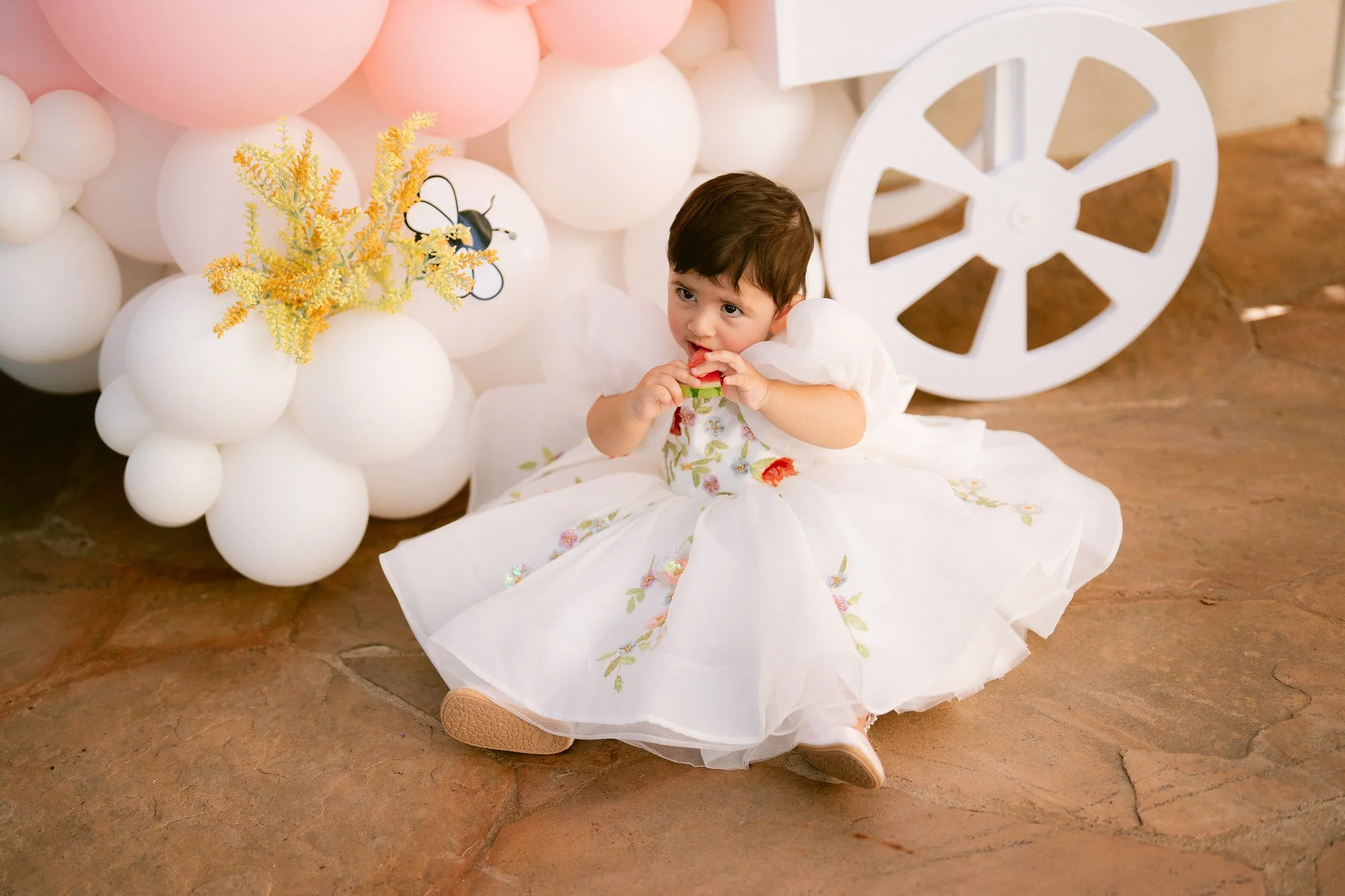 baby_first_bday_morganhill-64.jpg