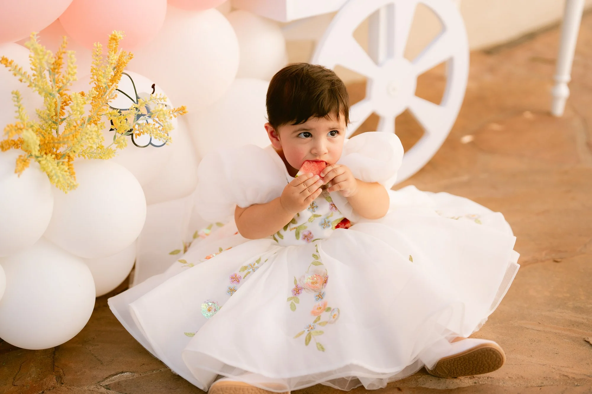 baby_first_bday_morganhill-65.jpg