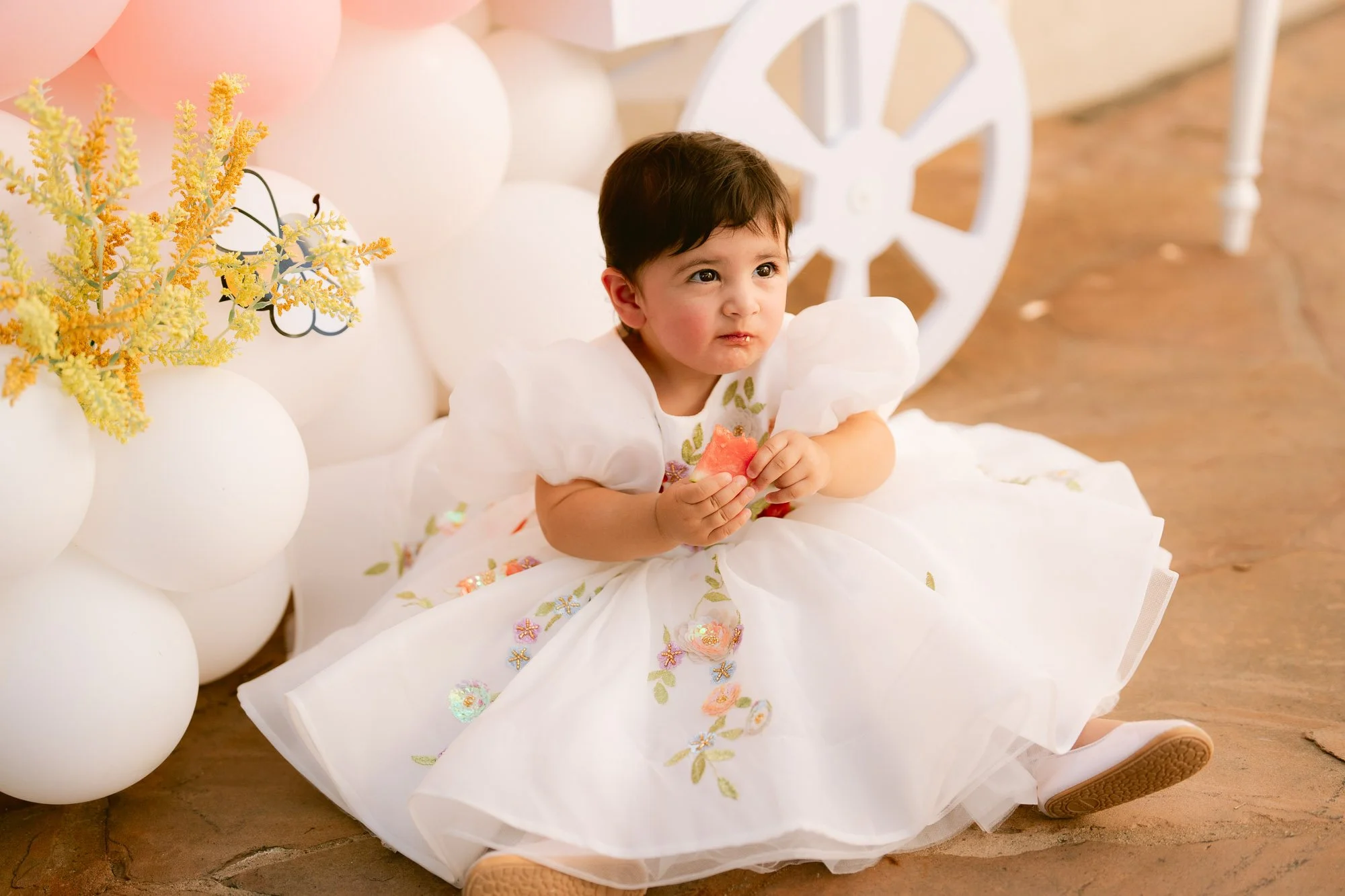 baby_first_bday_morganhill-66.jpg