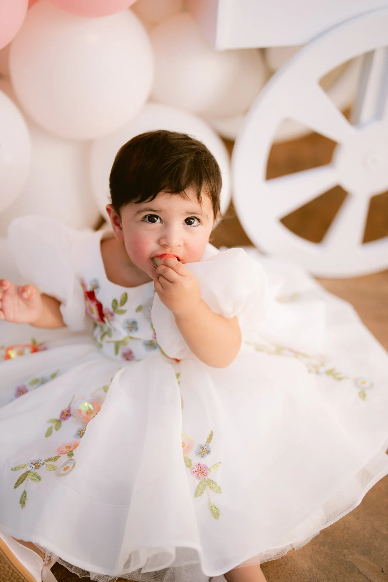 baby_first_bday_morganhill-71.jpg