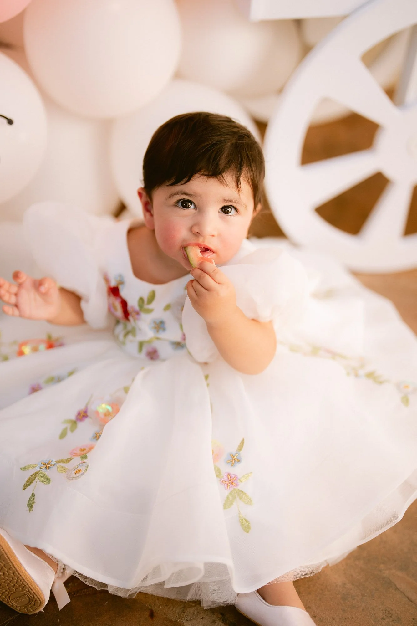 baby_first_bday_morganhill-72.jpg