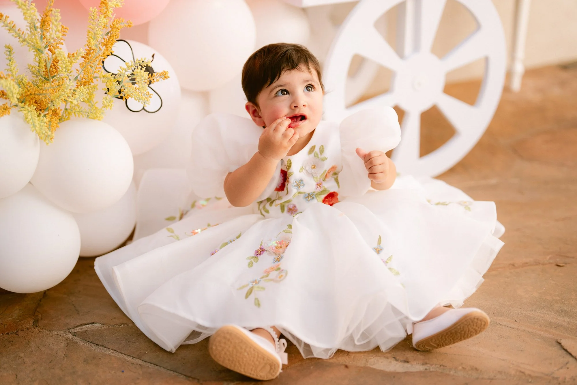 baby_first_bday_morganhill-74.jpg