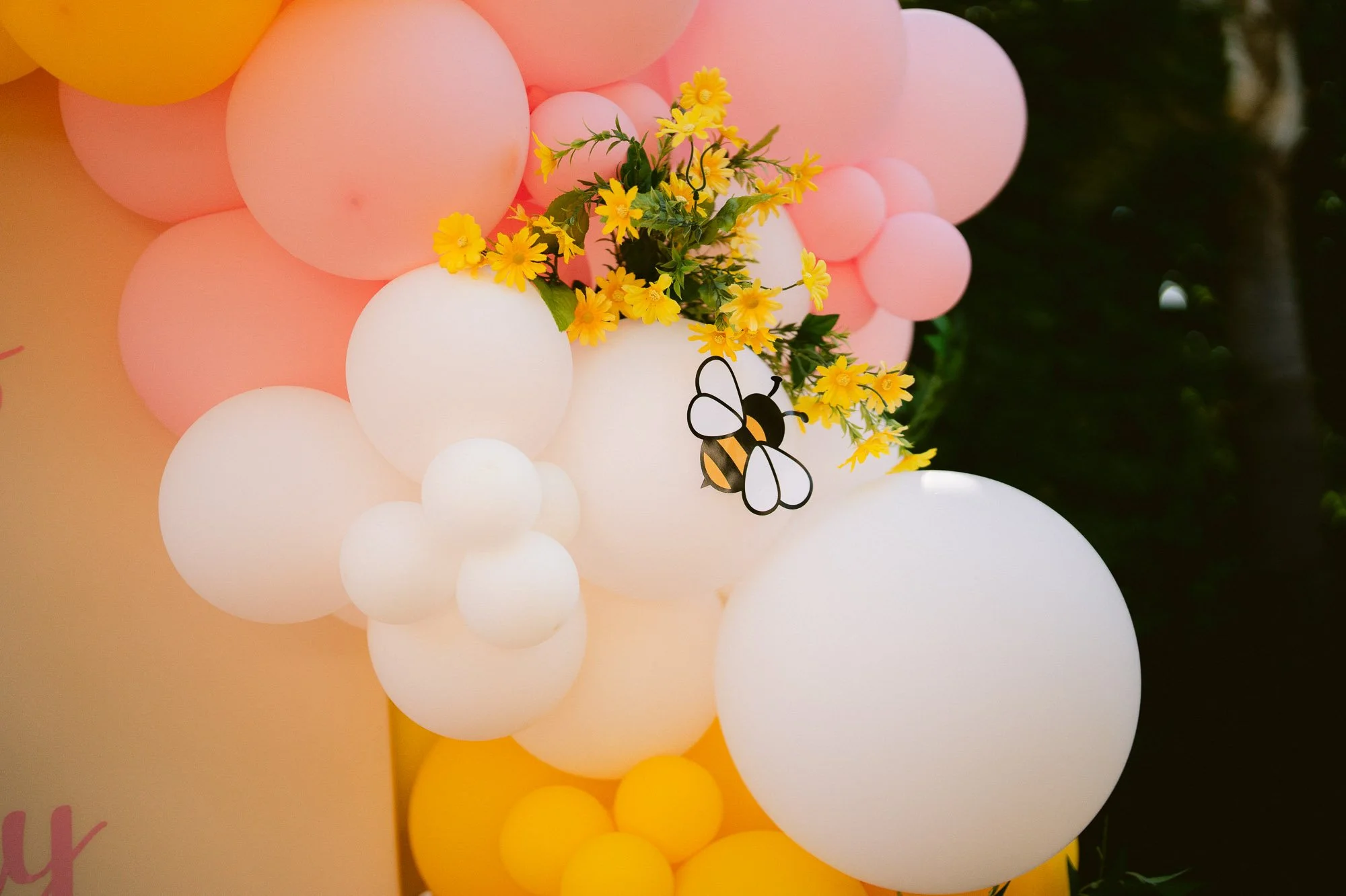 Simaya_First_Birthday_Party_Morgan_Hill-793.jpg
