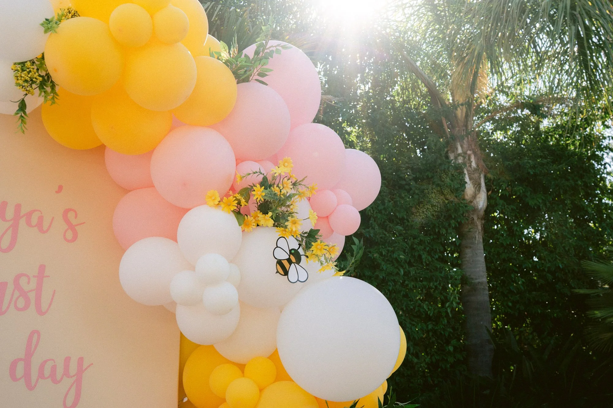 Simaya_First_Birthday_Party_Morgan_Hill-795.jpg