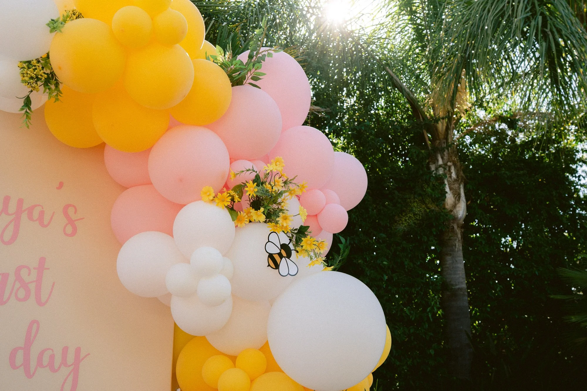 Simaya_First_Birthday_Party_Morgan_Hill-796.jpg
