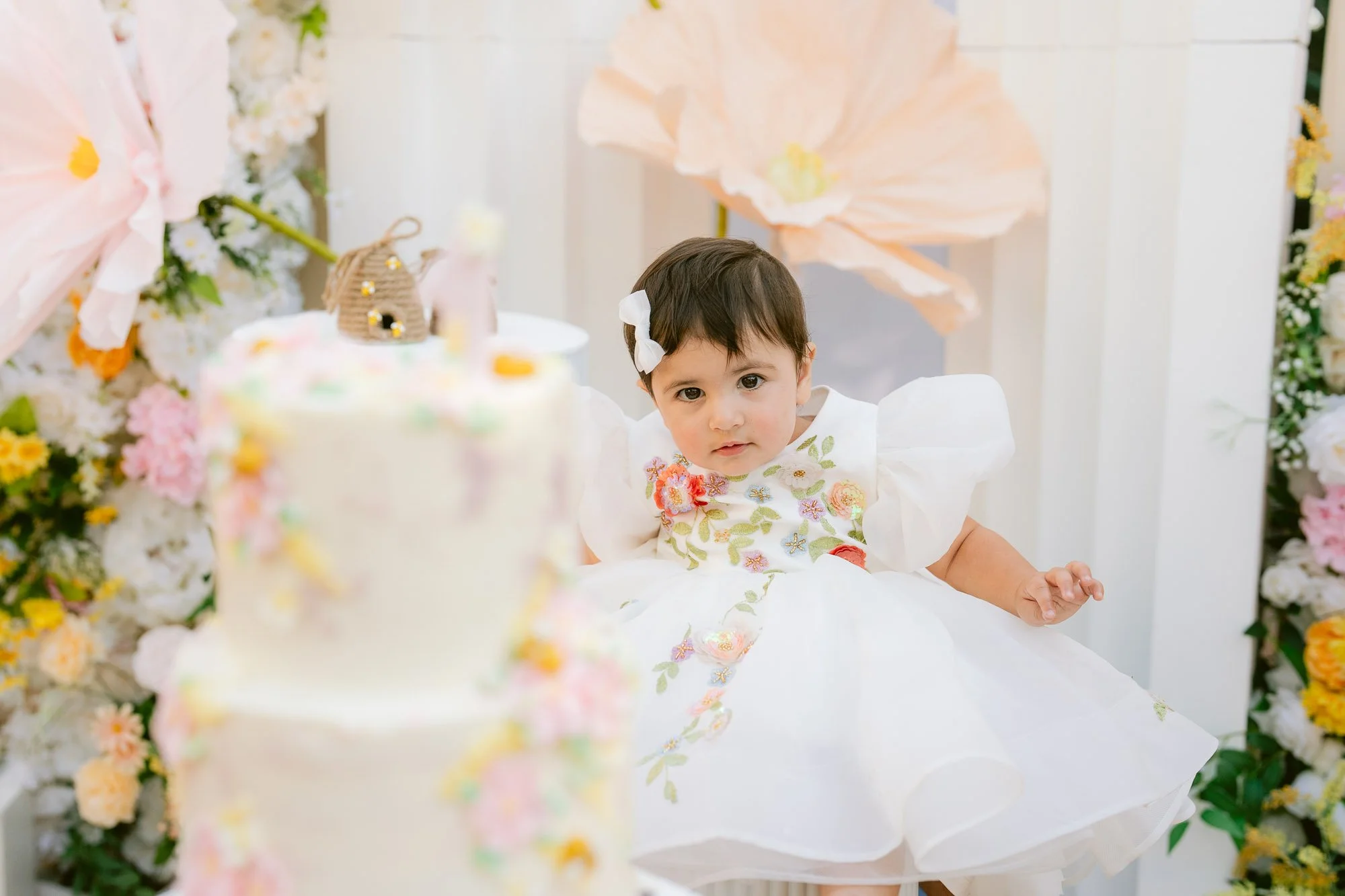 Simaya_First_Birthday_Party_Morgan_Hill-804.jpg