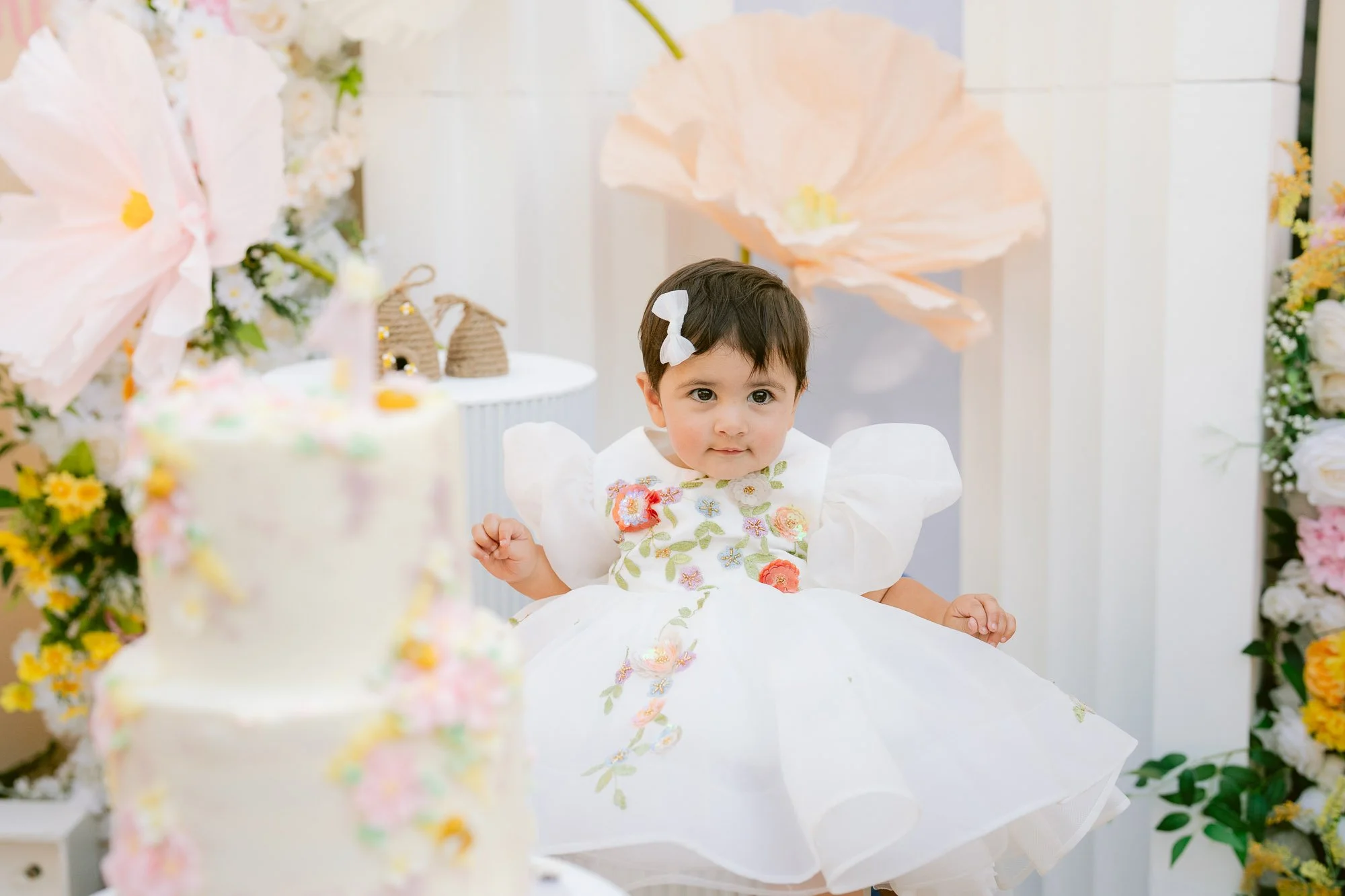 Simaya_First_Birthday_Party_Morgan_Hill-805.jpg