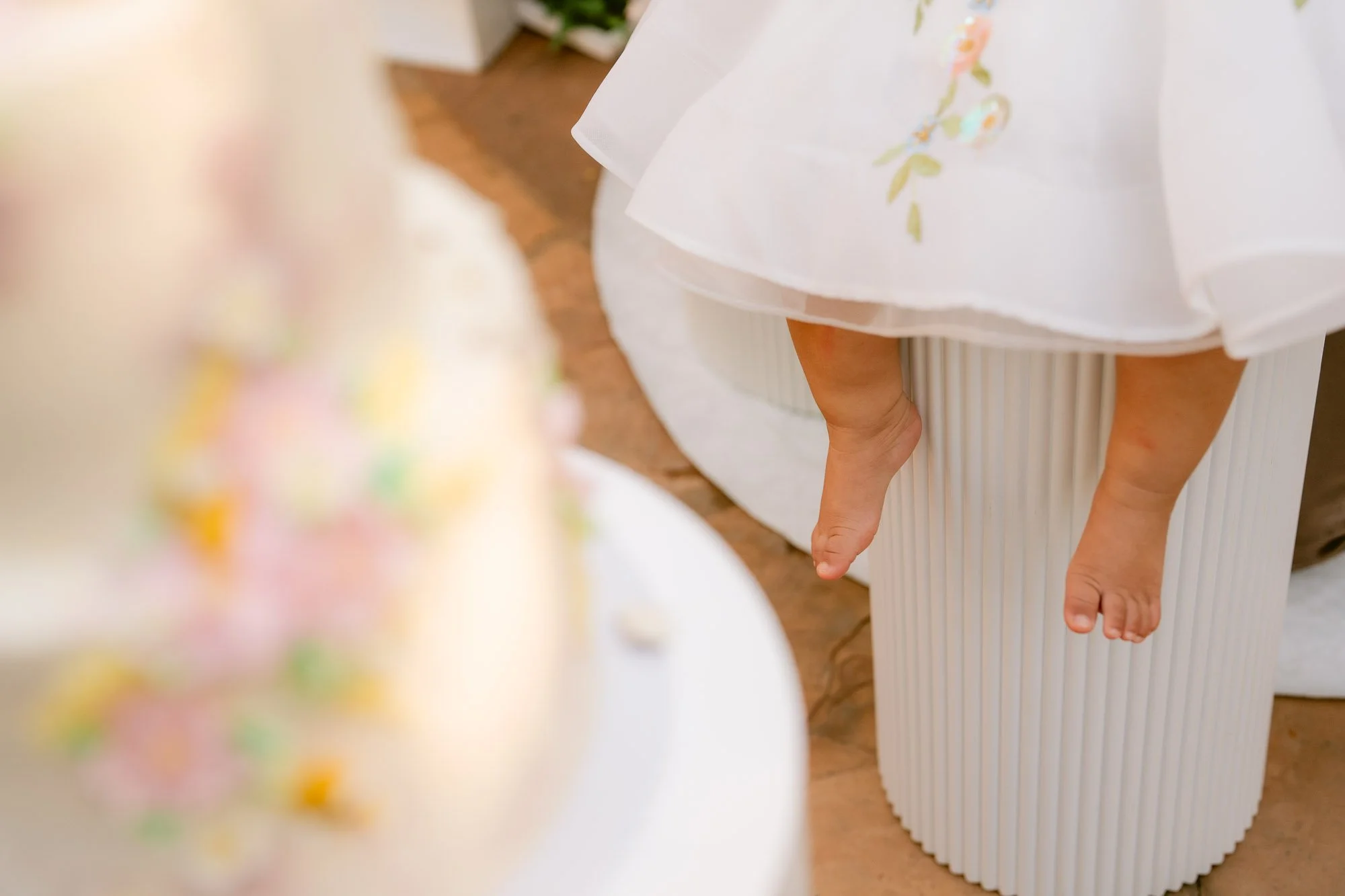 Simaya_First_Birthday_Party_Morgan_Hill-807.jpg