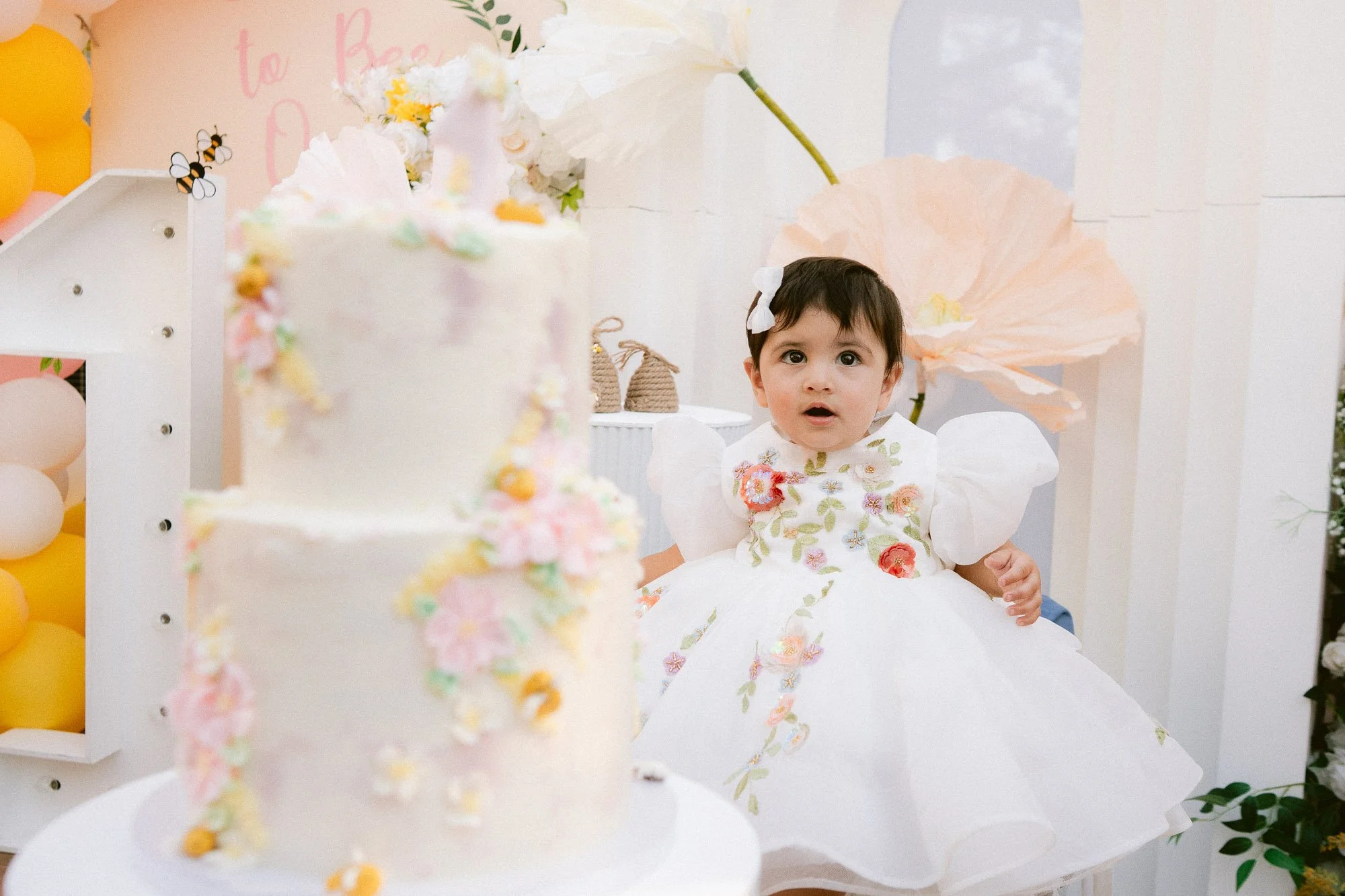 Simaya_First_Birthday_Party_Morgan_Hill-814.jpg