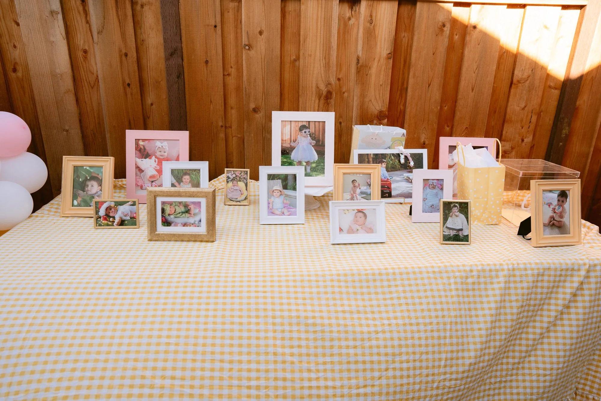 Simaya_First_Birthday_Party_Morgan_Hill-816.jpg