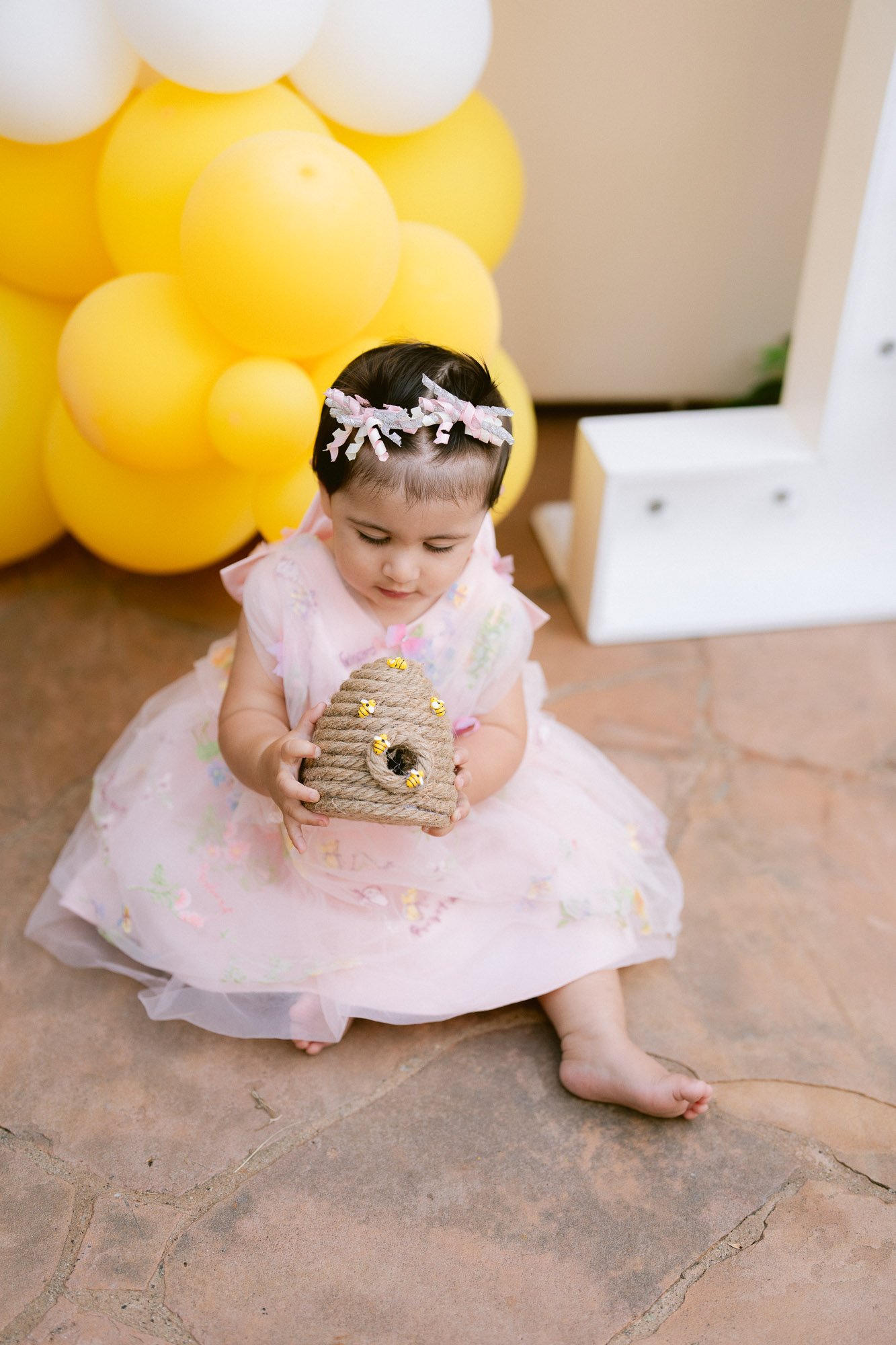 Simaya_First_Birthday_Party_Morgan_Hill-848.jpg