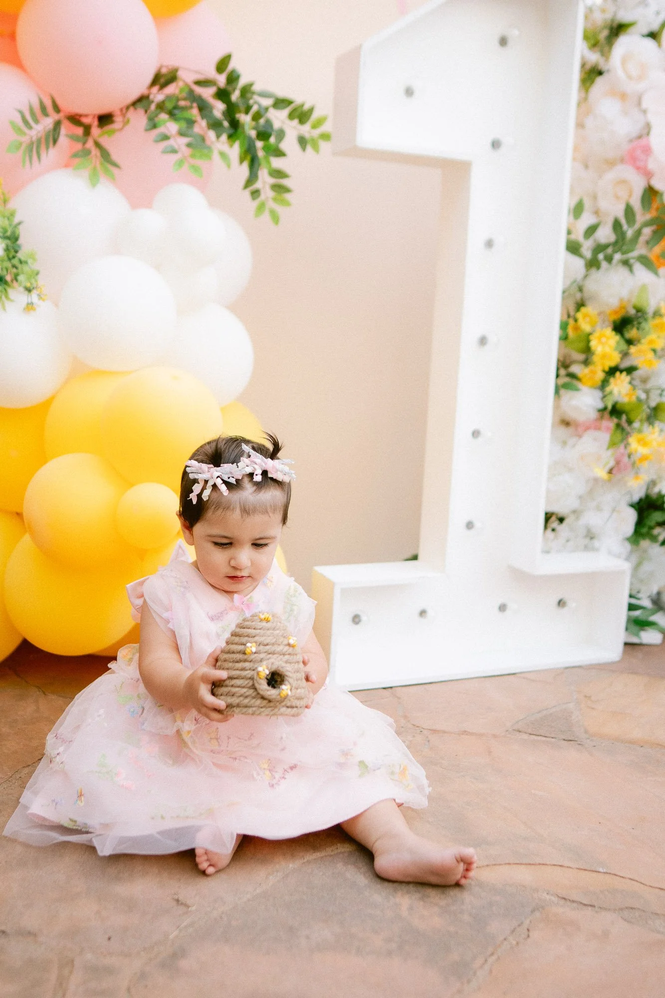 Simaya_First_Birthday_Party_Morgan_Hill-852.jpg