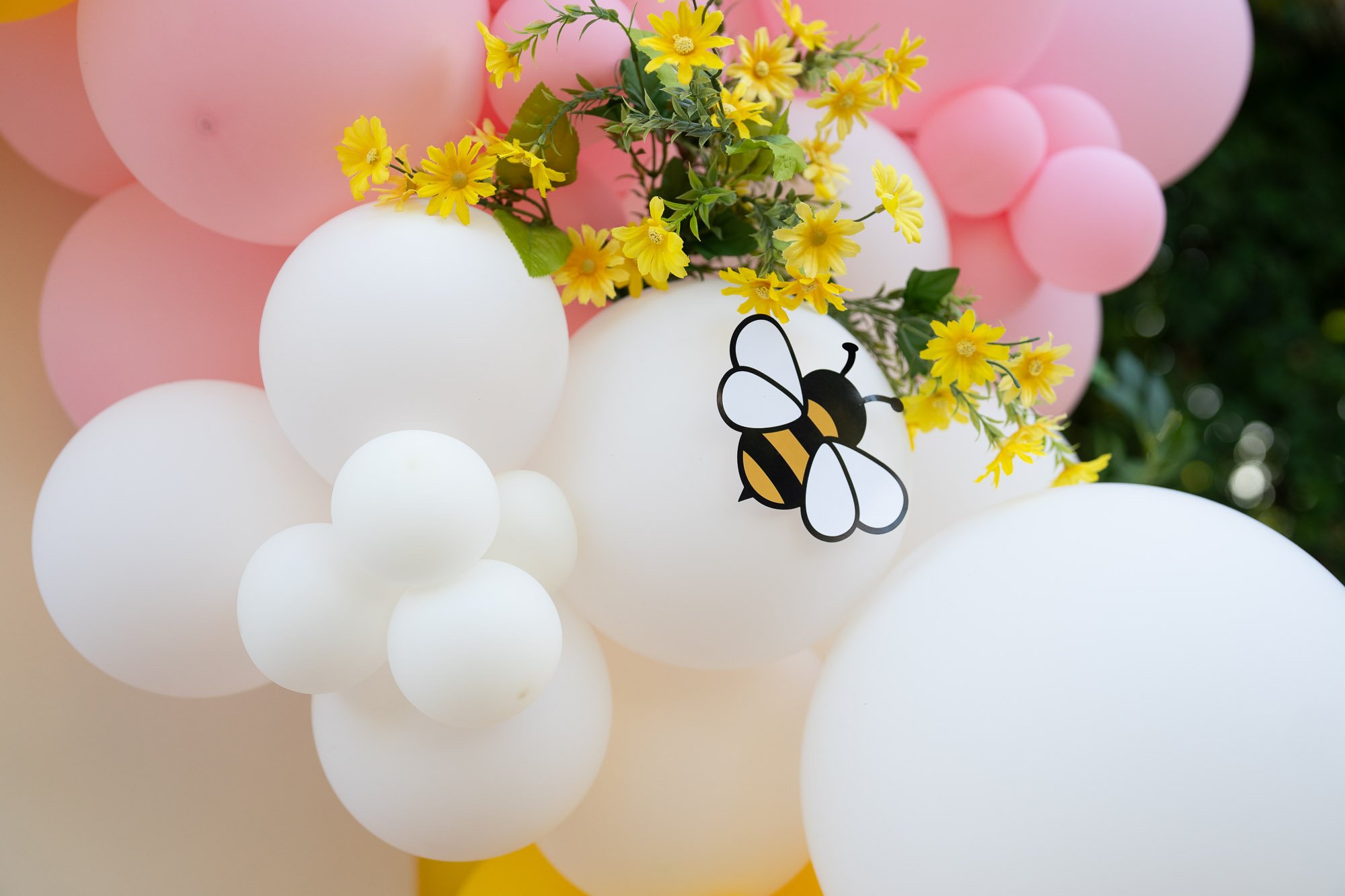 Simaya_First_Birthday_Party_Morgan_Hill-857.jpg