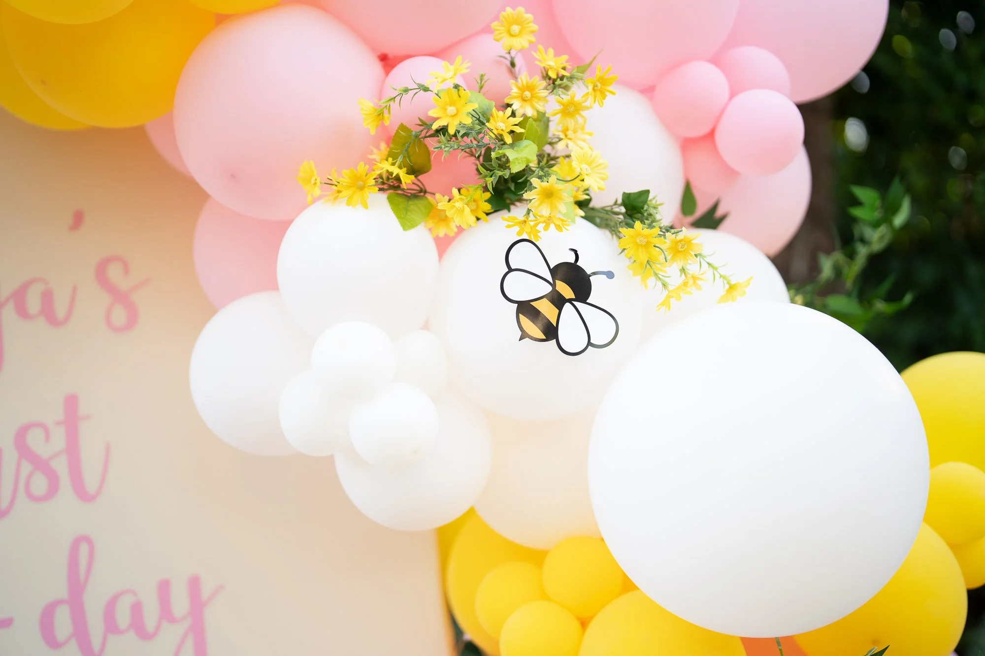 Simaya_First_Birthday_Party_Morgan_Hill-858.jpg