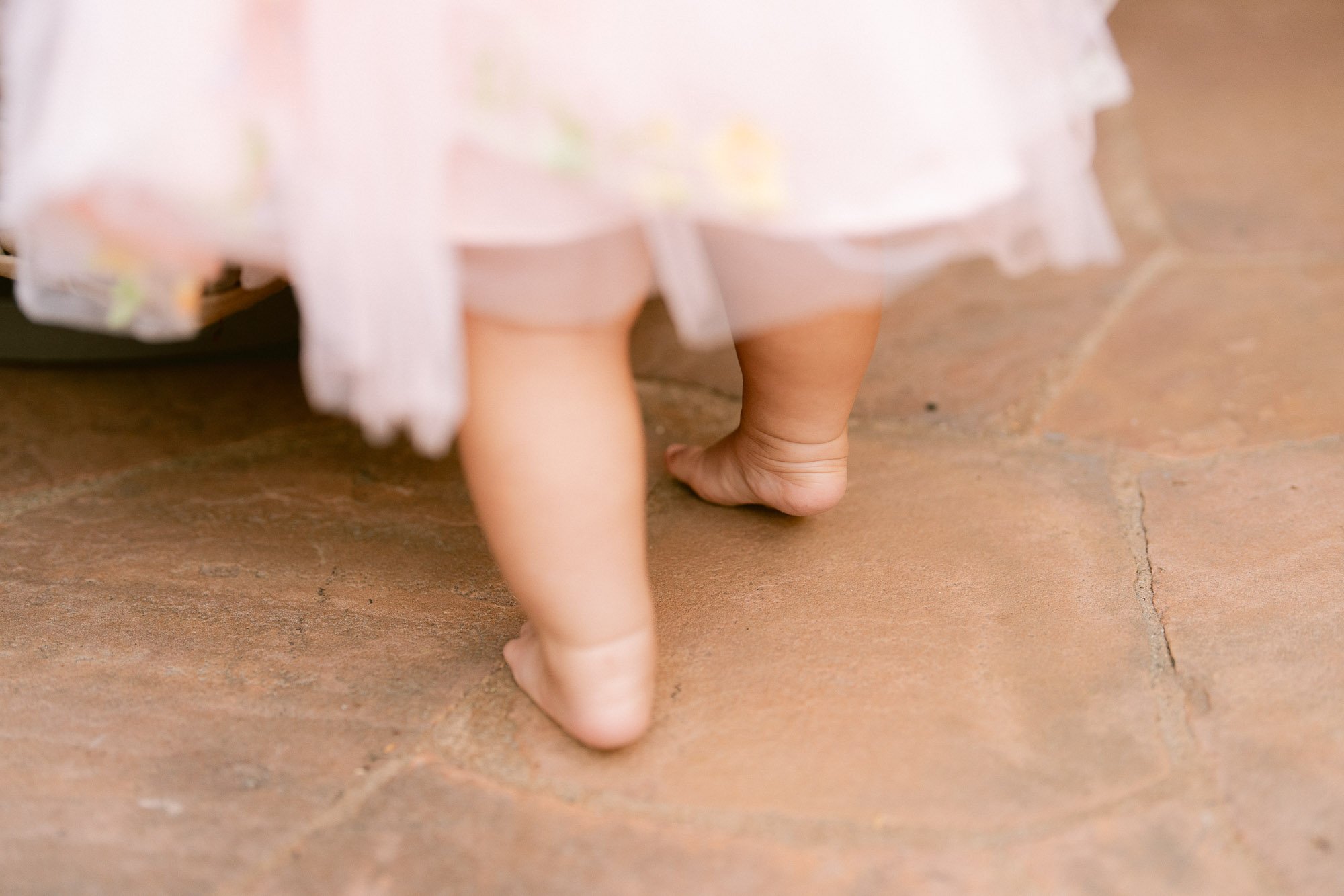 Simaya_First_Birthday_Party_Morgan_Hill-851.jpg