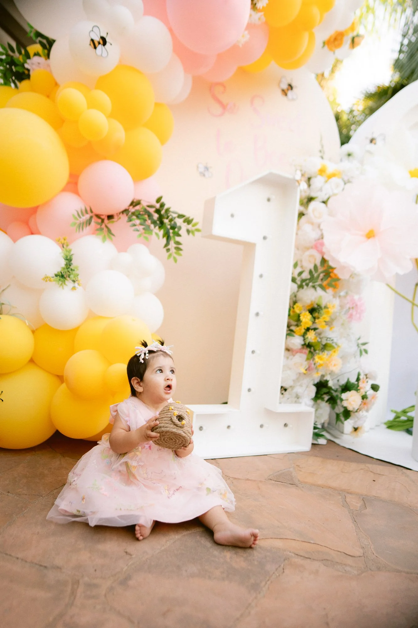 Simaya_First_Birthday_Party_Morgan_Hill-853.jpg
