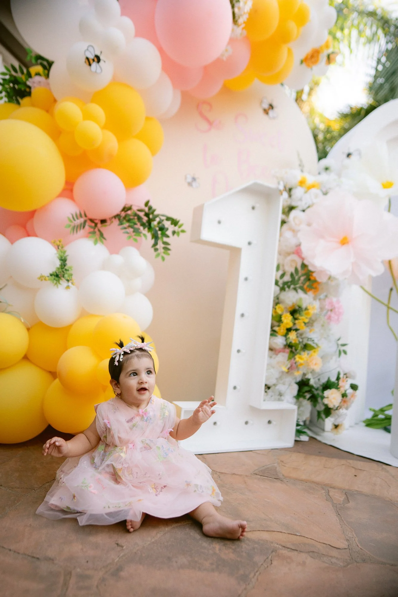 Simaya_First_Birthday_Party_Morgan_Hill-854.jpg