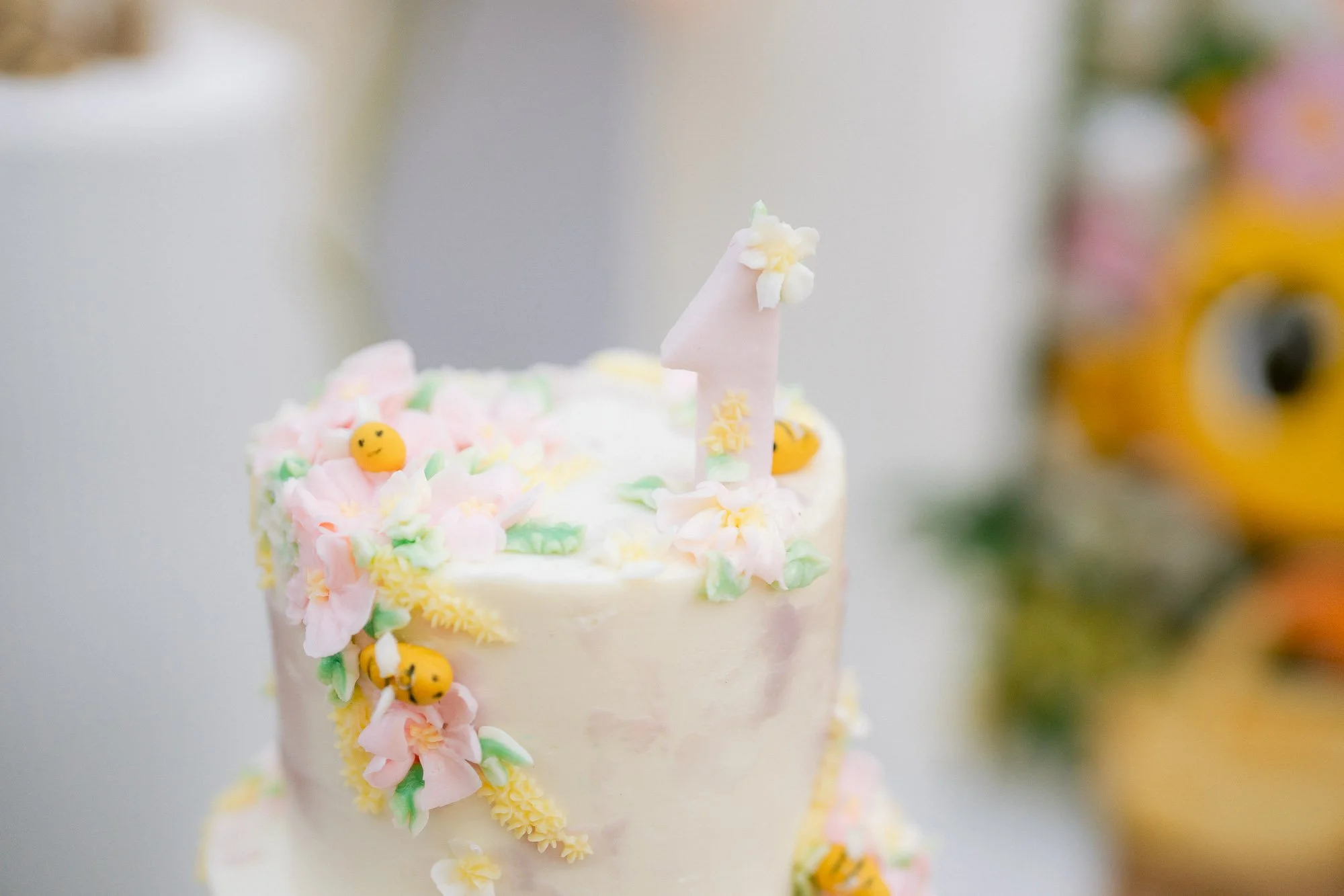 Simaya_First_Birthday_Party_Morgan_Hill-855.jpg