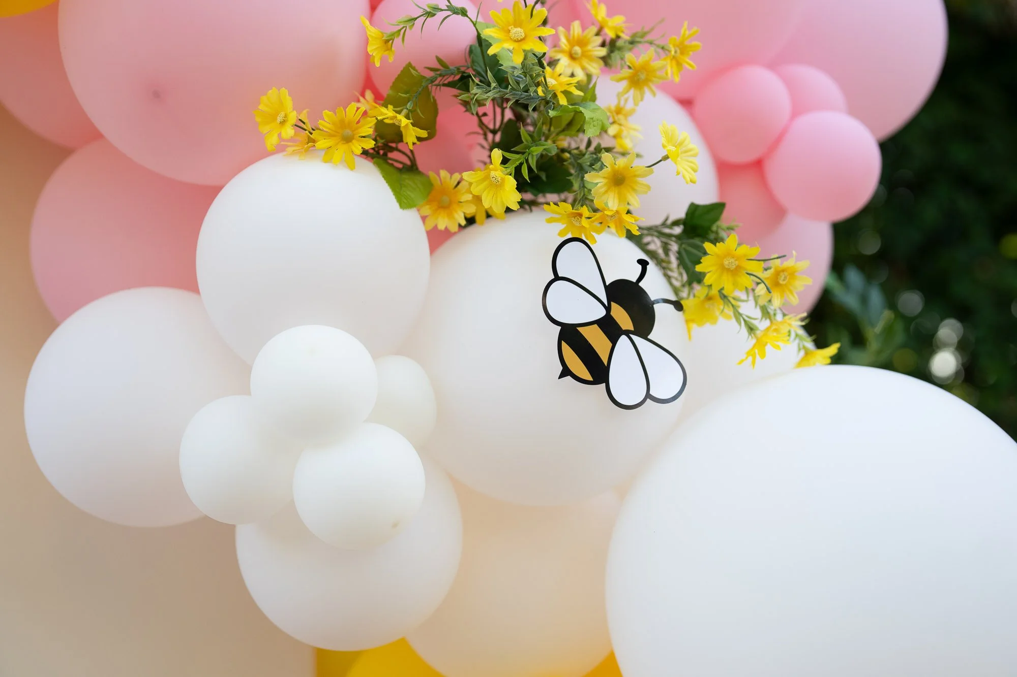 Simaya_First_Birthday_Party_Morgan_Hill-857.jpg