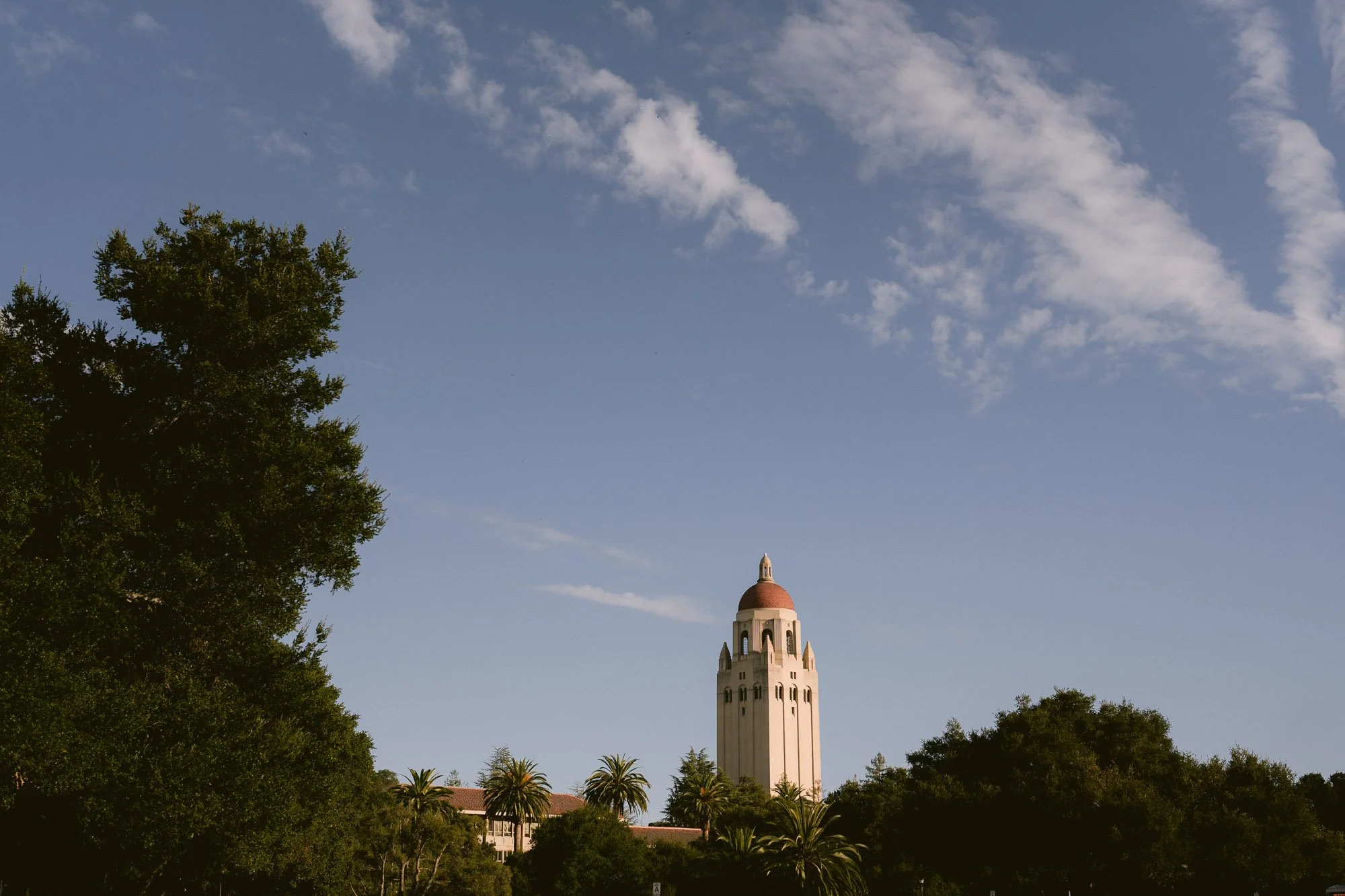 stanford_university_family_photos-70.jpg