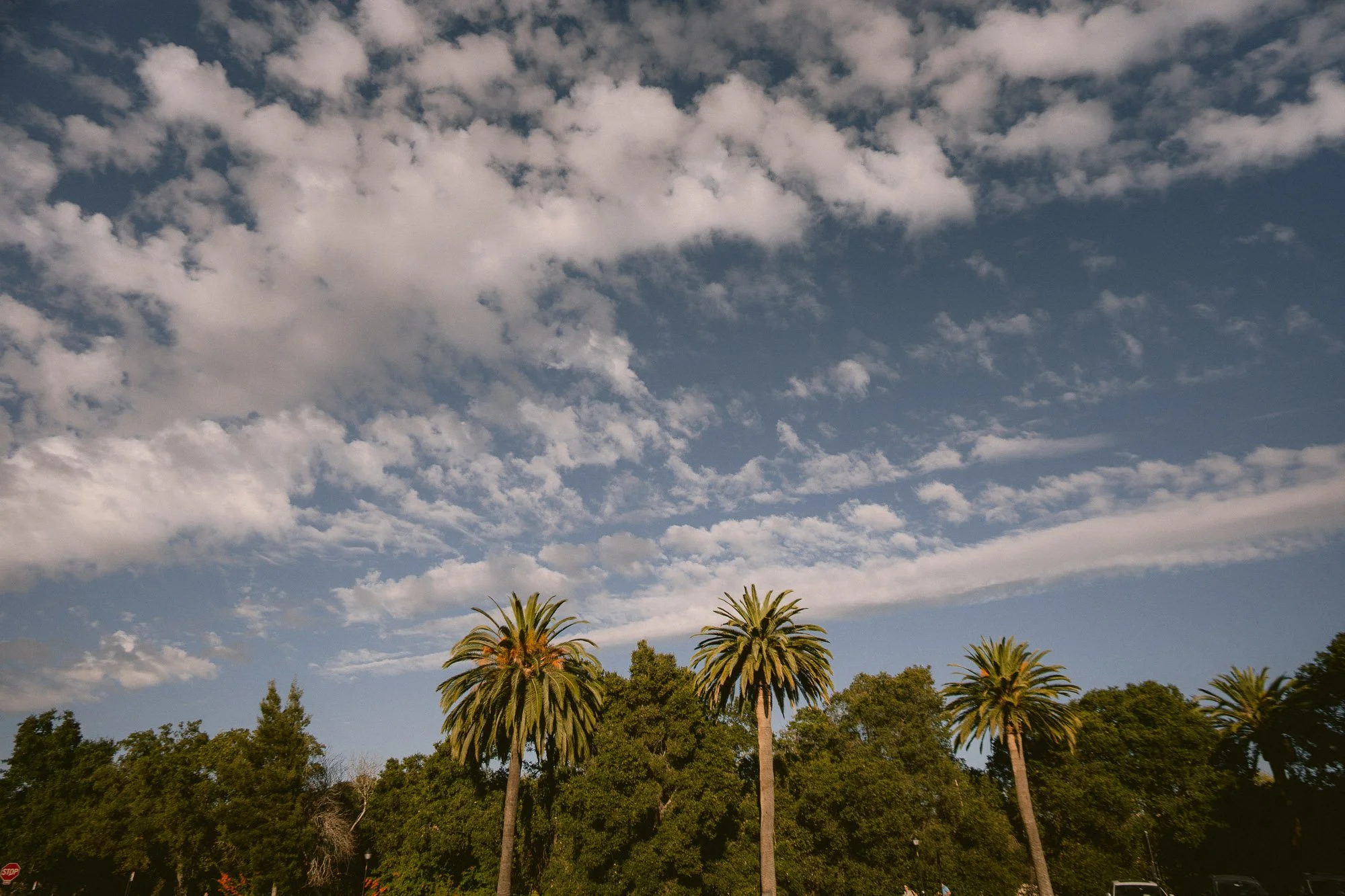 stanford_university_family_photos-72.jpg