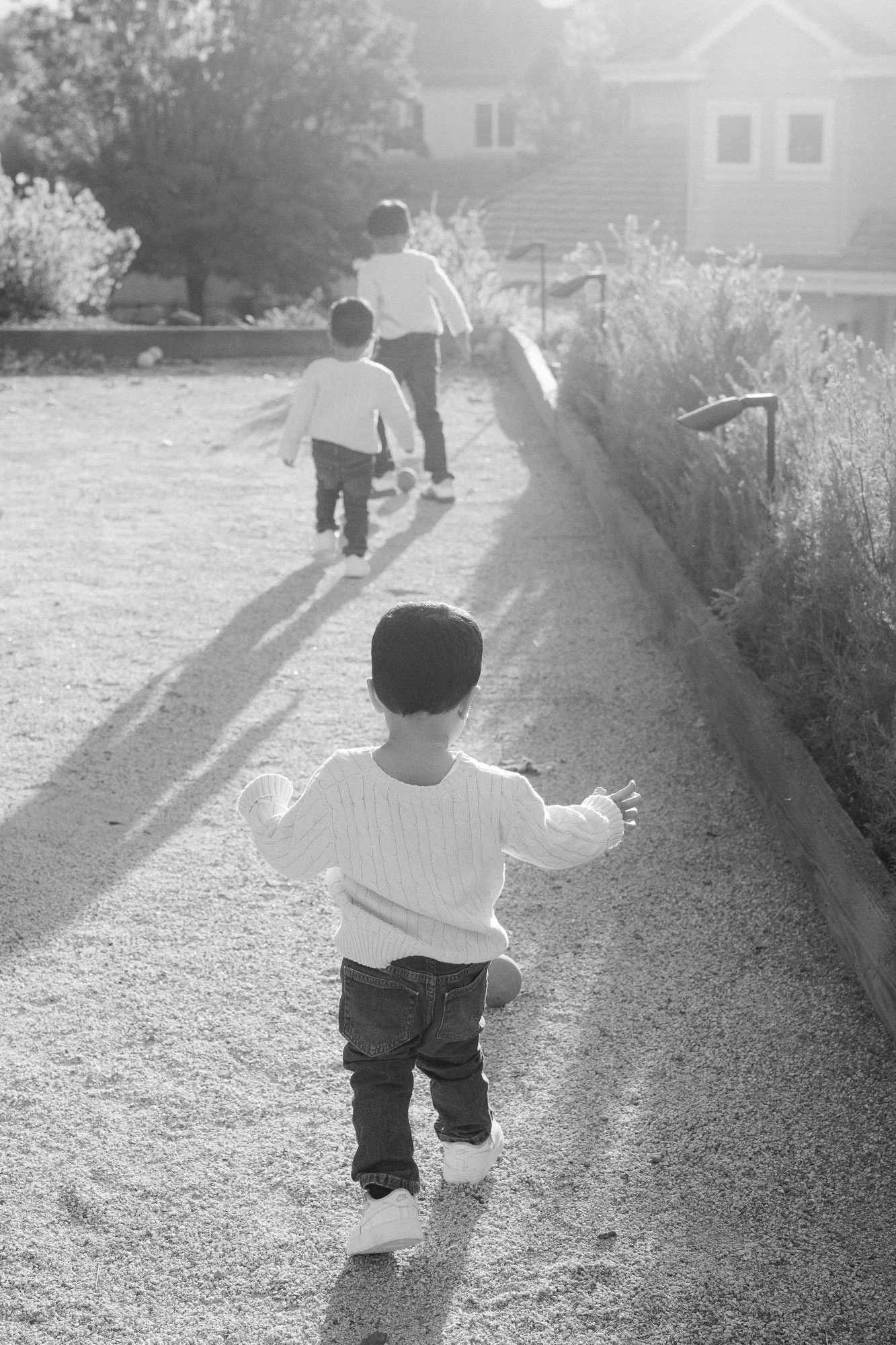 Danville_family_photos-63.jpg