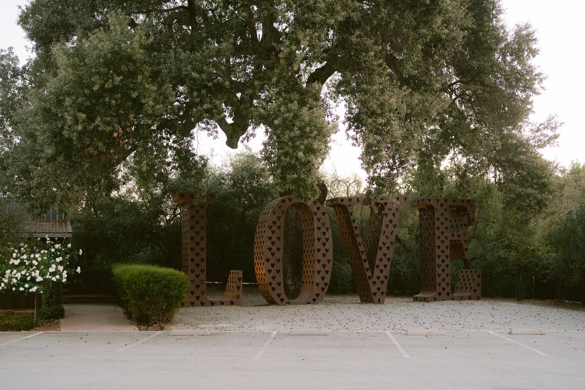 Mohi_Ranch_Indian_Wedding-3.jpg
