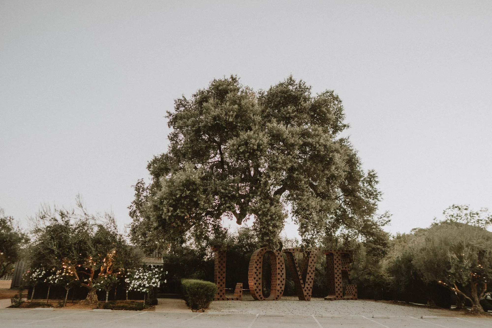 Mohi_Ranch_Indian_Wedding-4.jpg